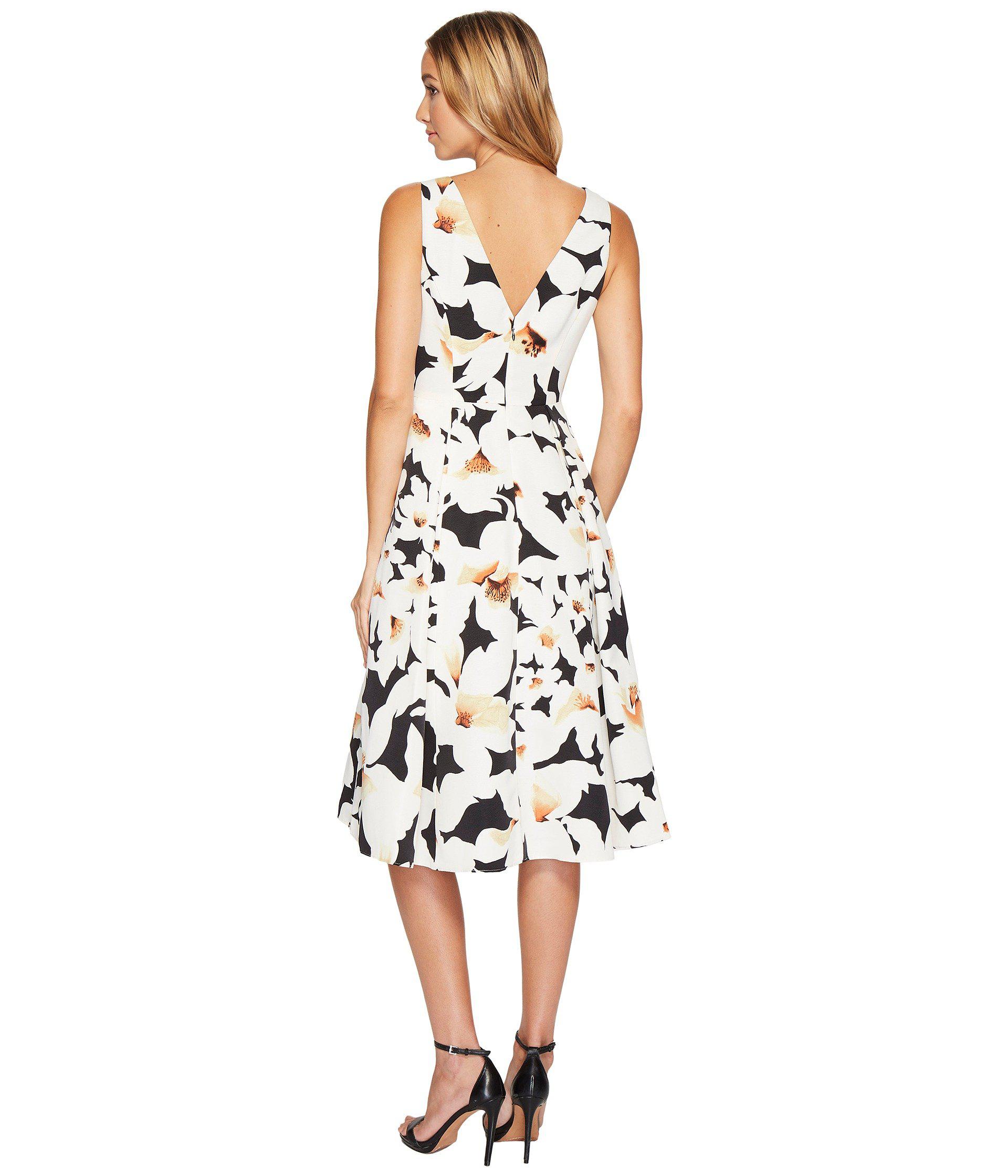 lily fit and flare dress