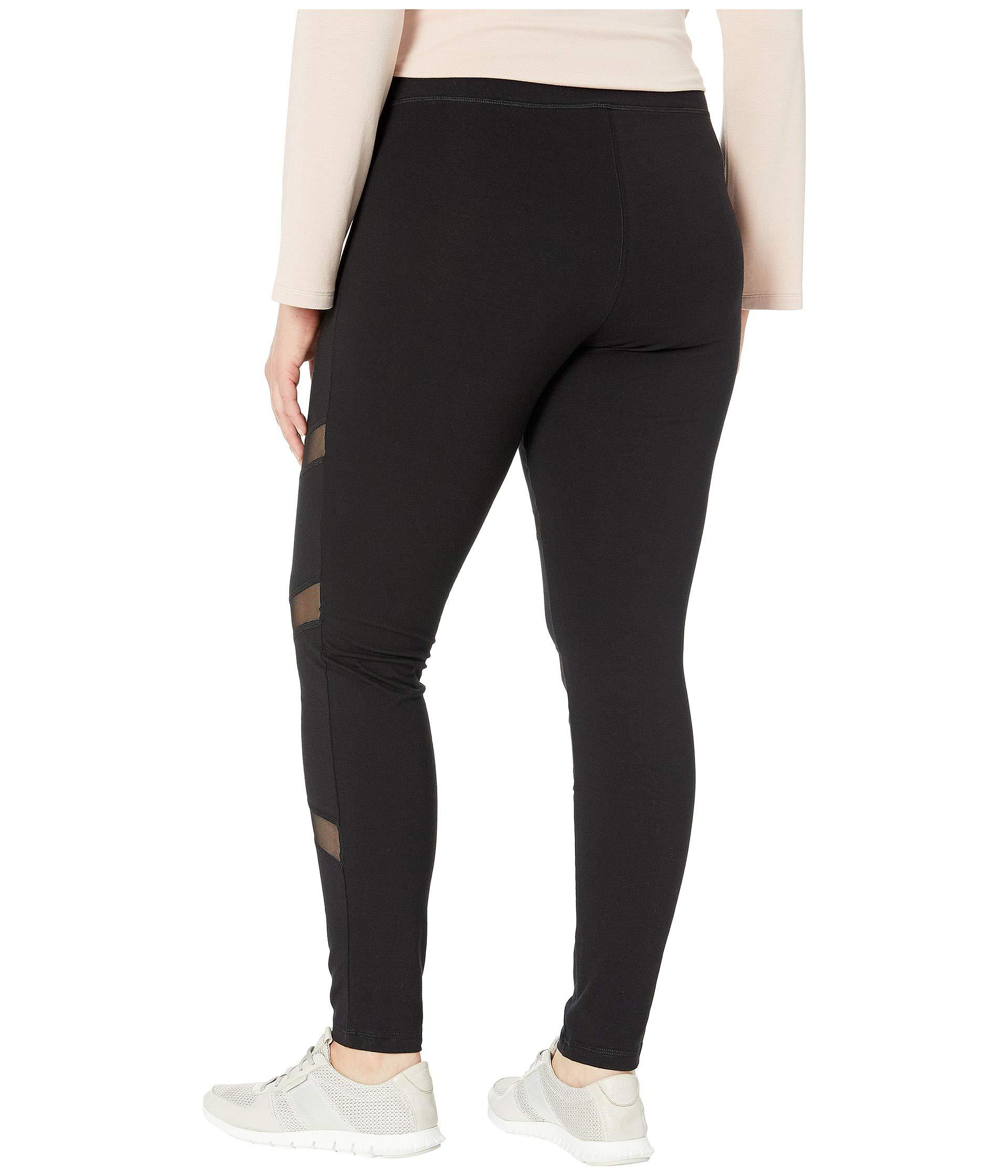 HUE cotton legging