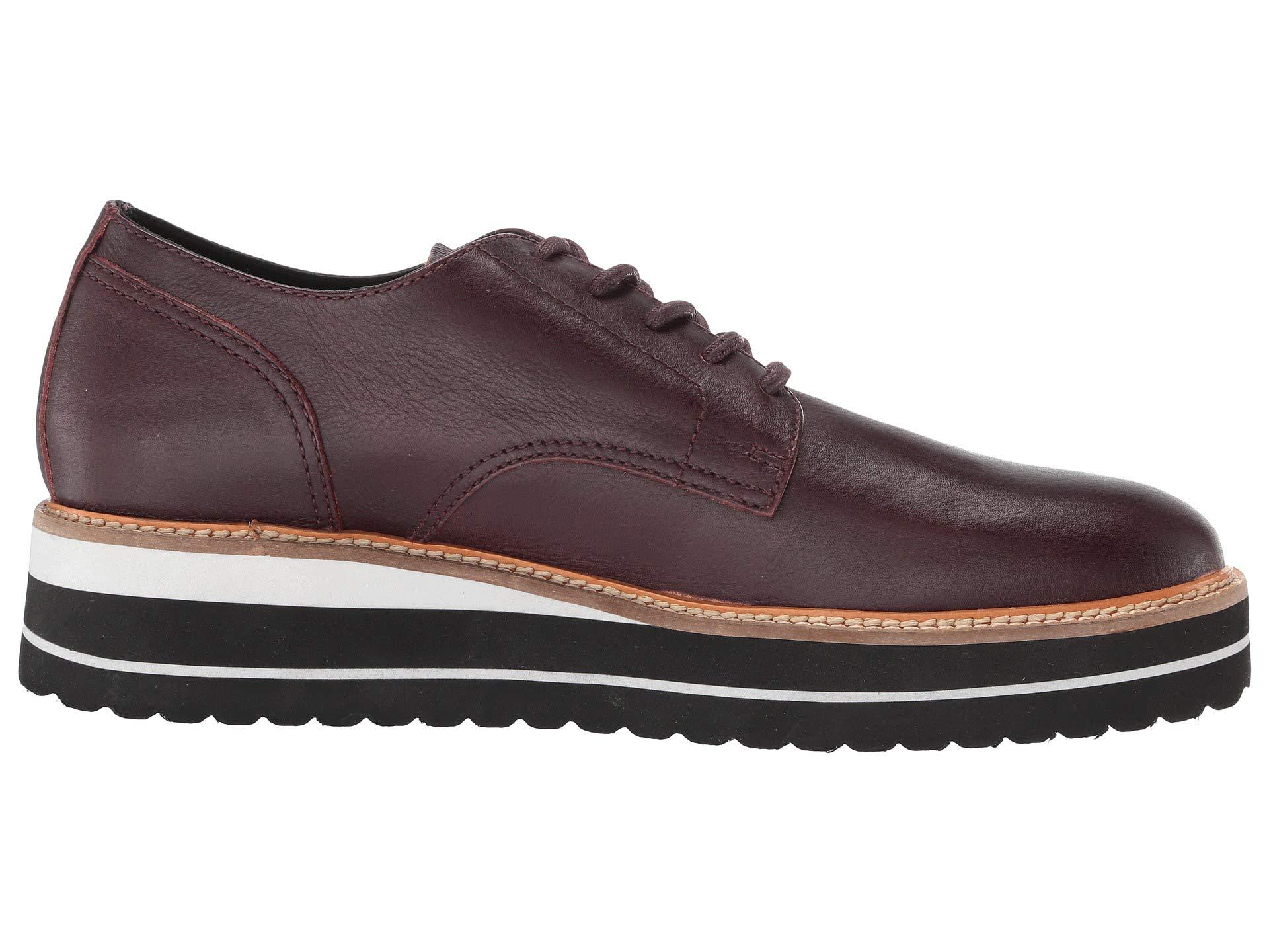 Steve Madden Leather Self Made Sufraget (brown) Lace Up Steve Madden Leather Self Made Sufraget (brown) Lace Up