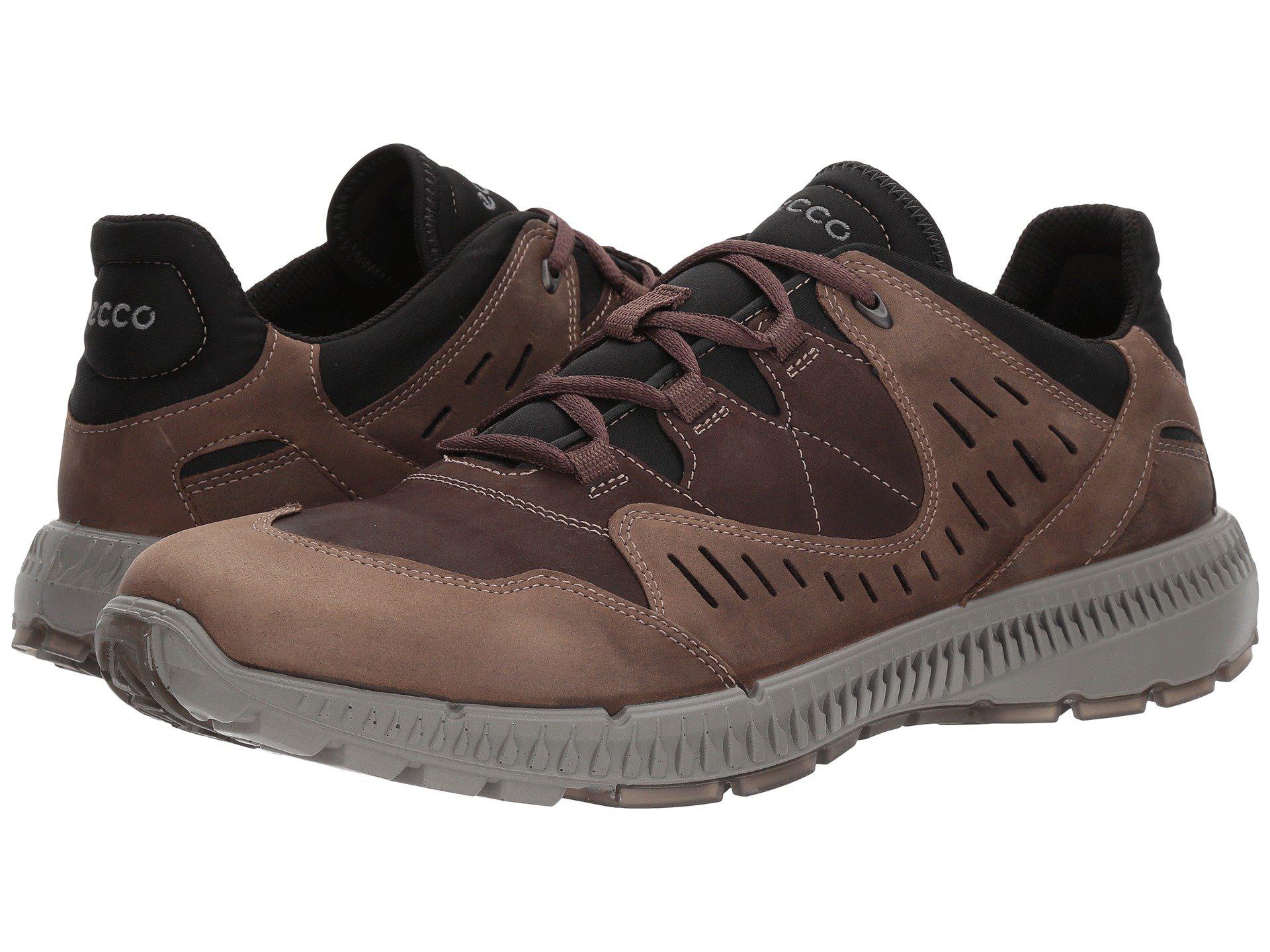 ecco men's terrawalk hiking shoe