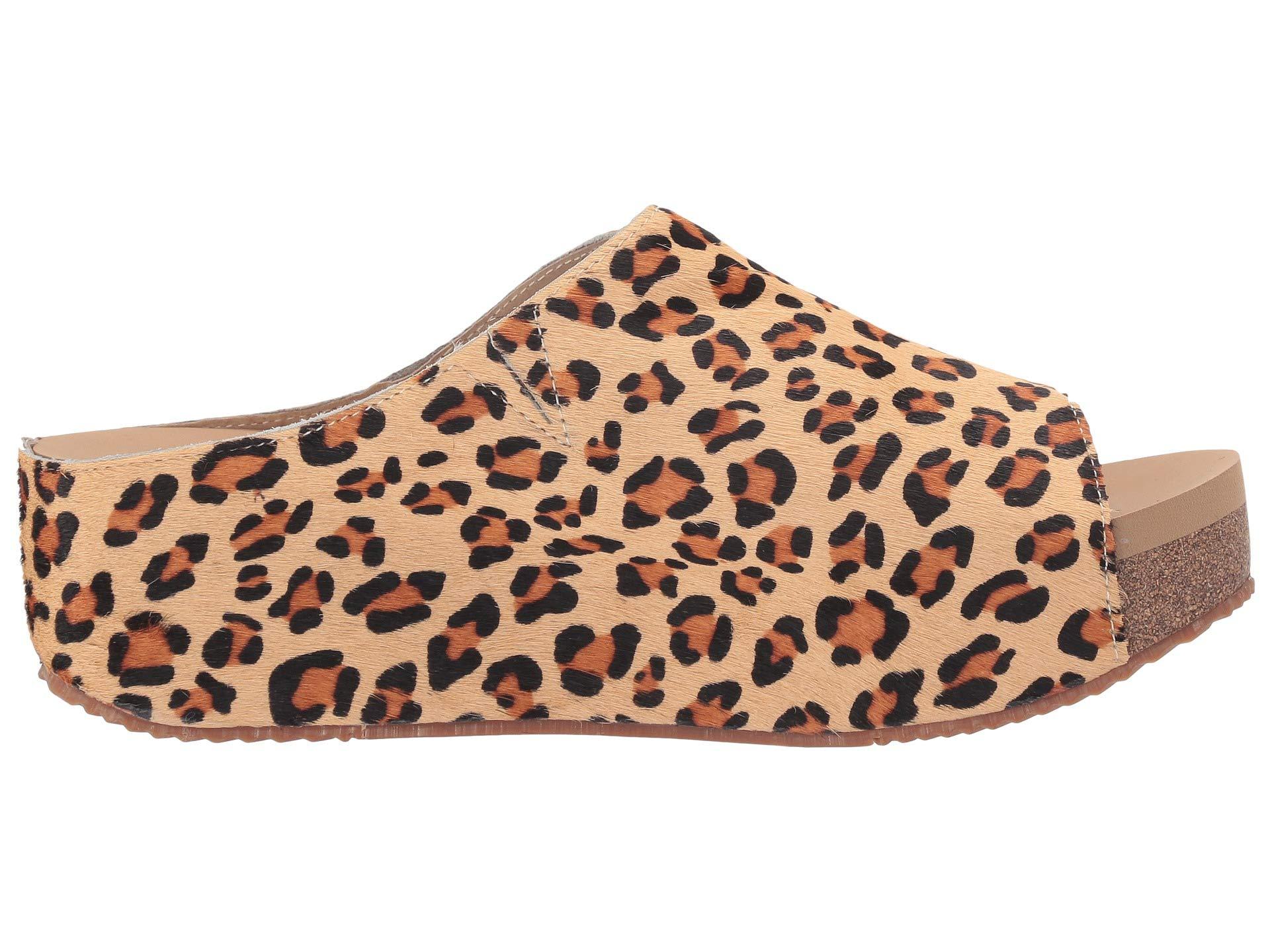 volatile shoes leopard