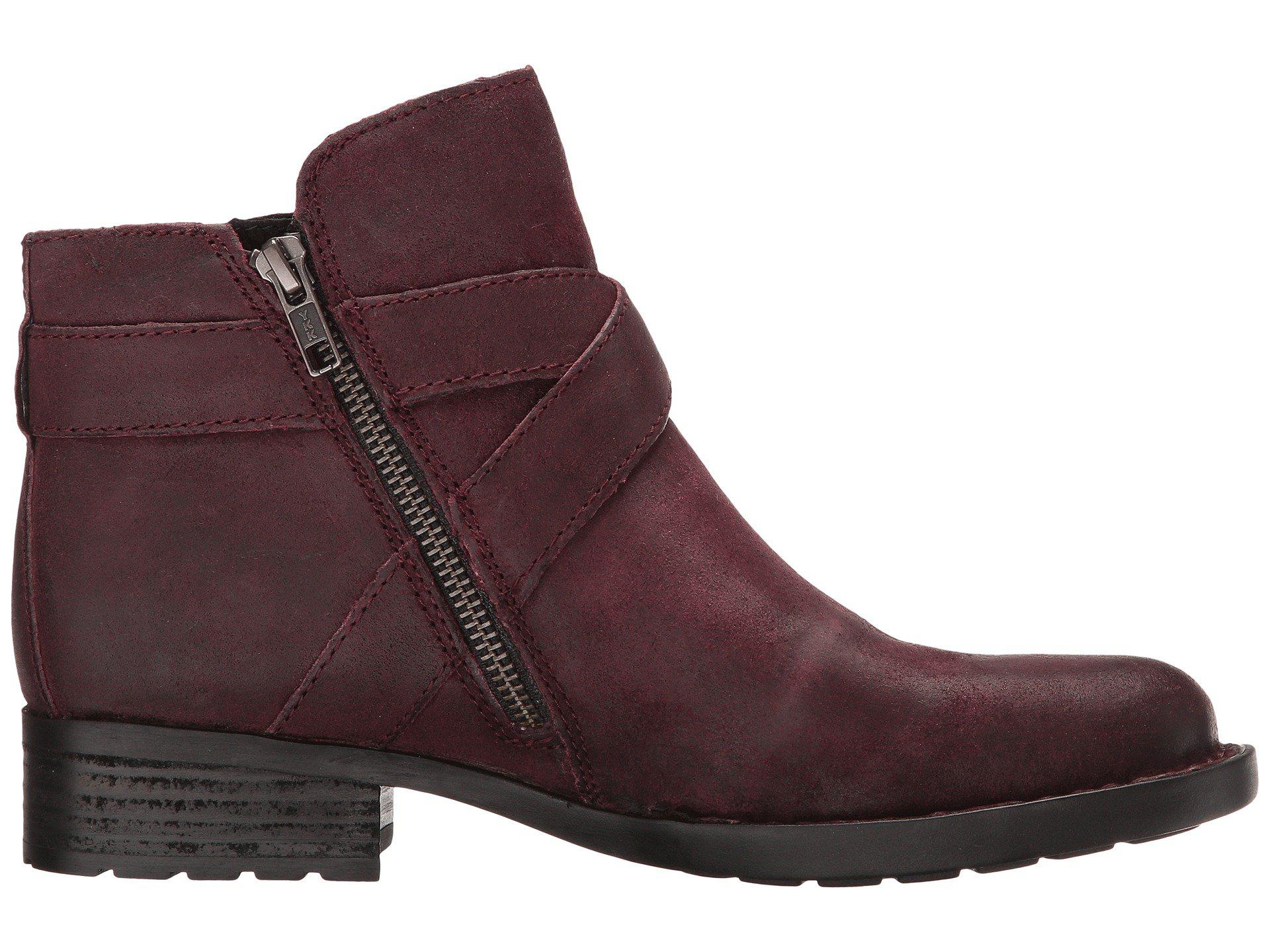 born trinculo dsw