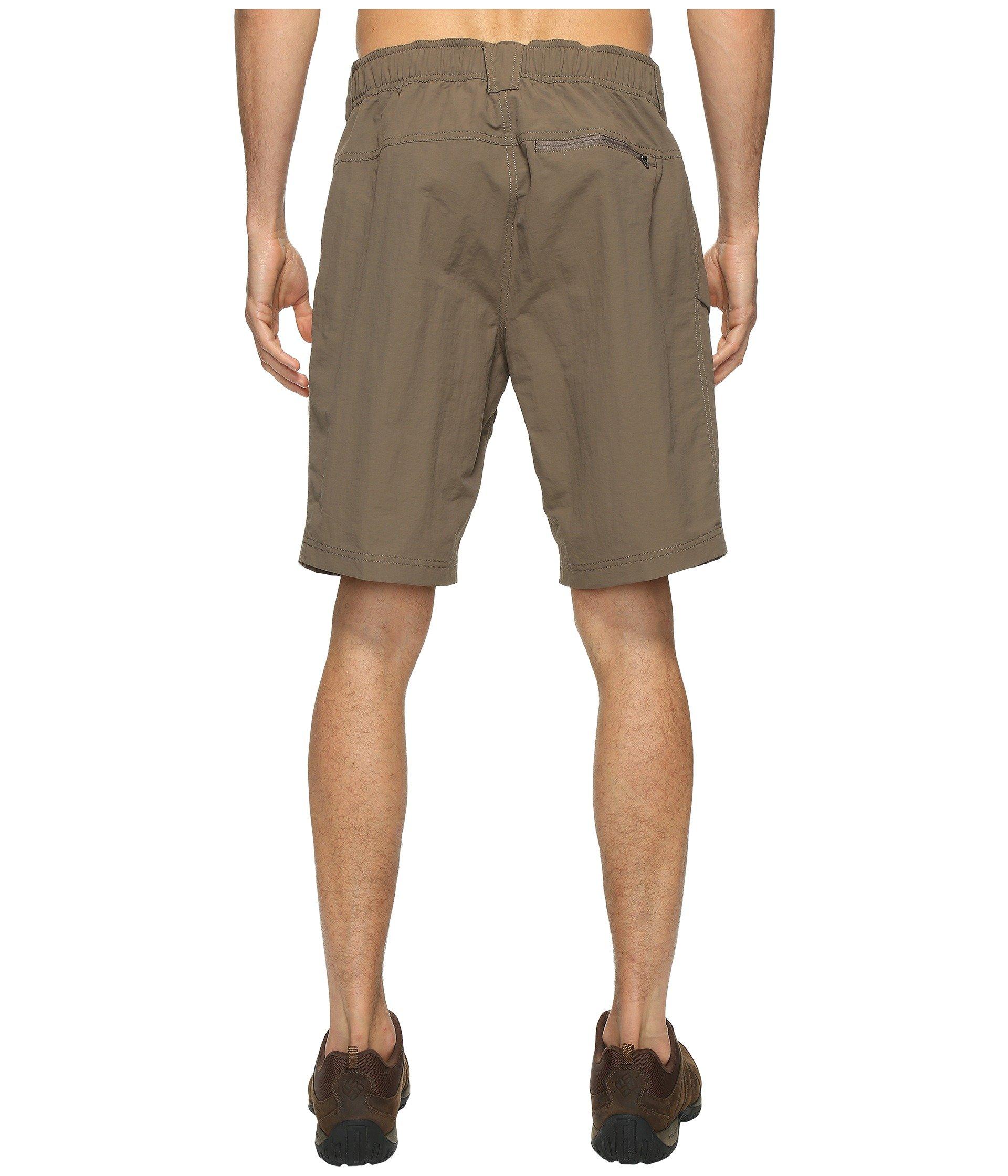 The North Face Synthetic Paramount Trail Shorts in Brown for Men - Lyst