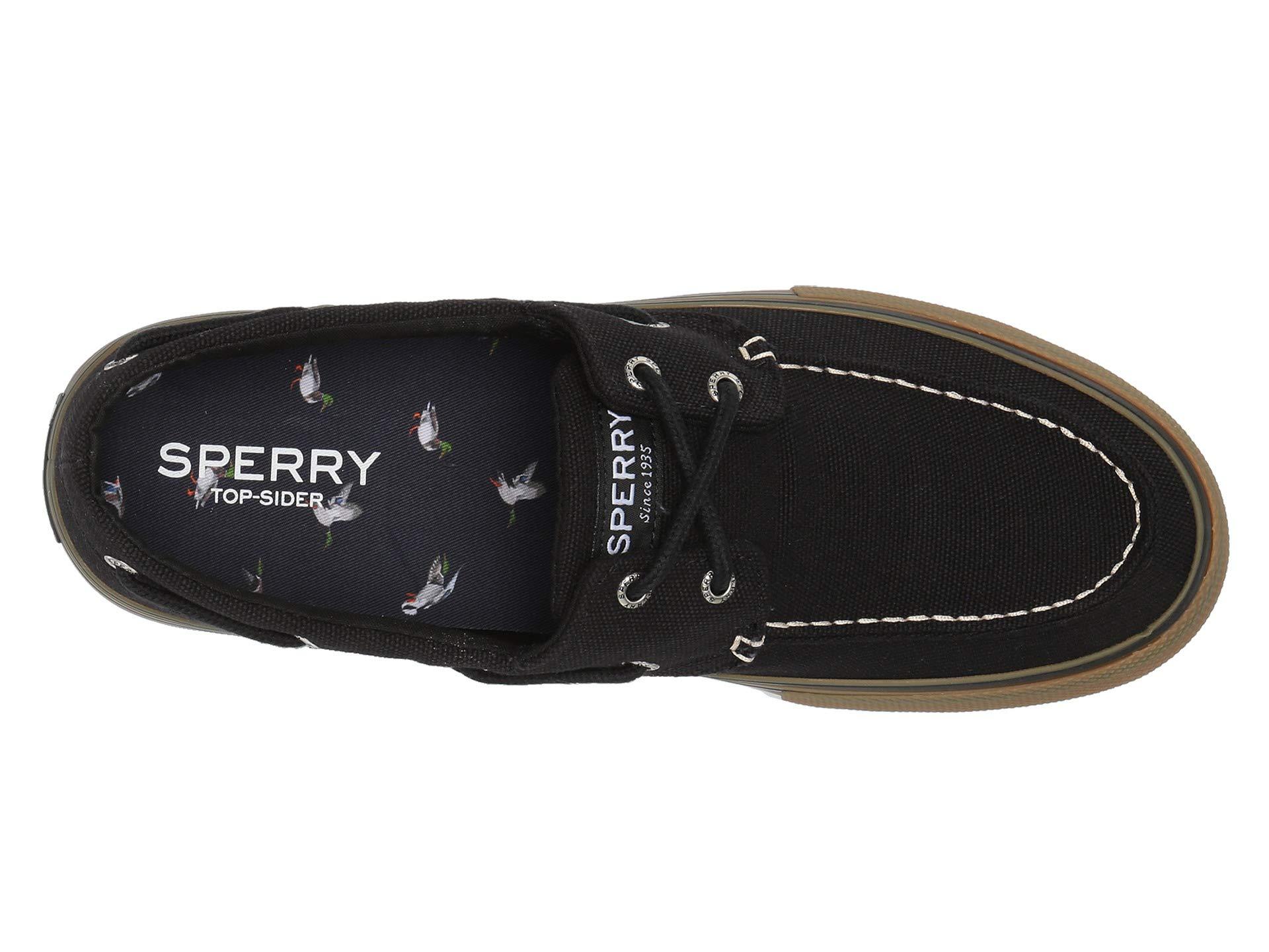 men's bahama storm canvas duck sneaker