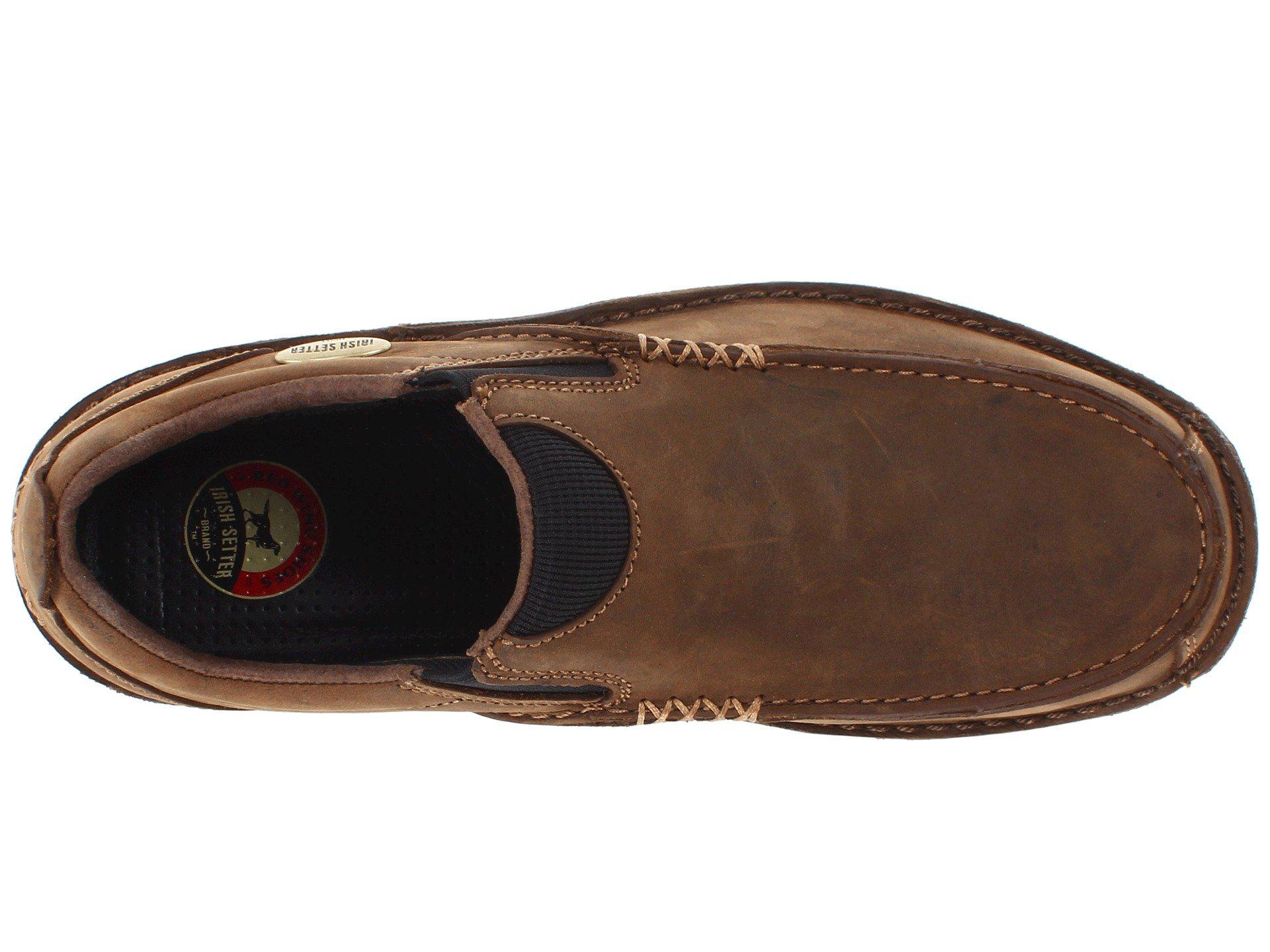 irish setter borderland