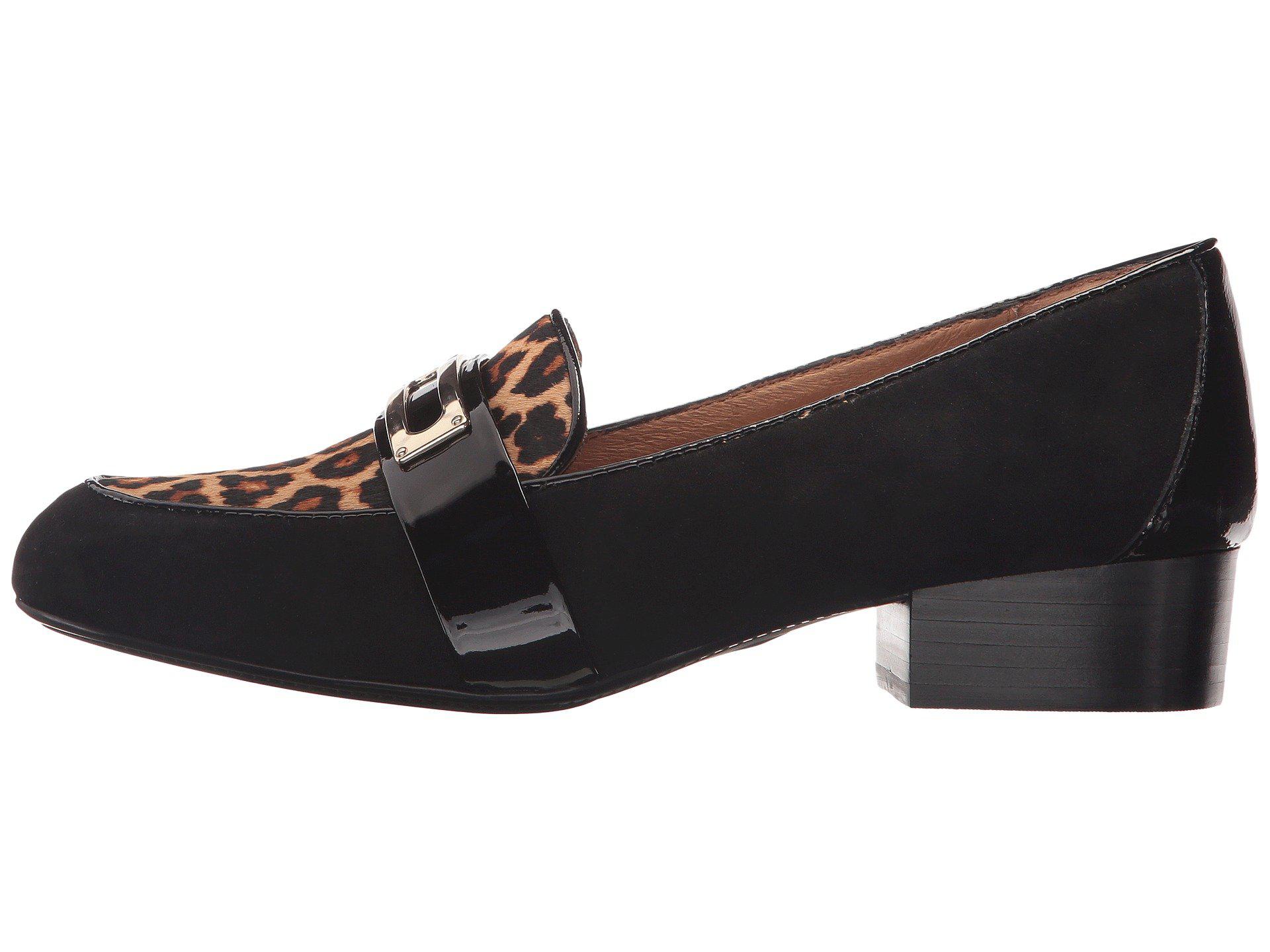 sofft brandis loafer