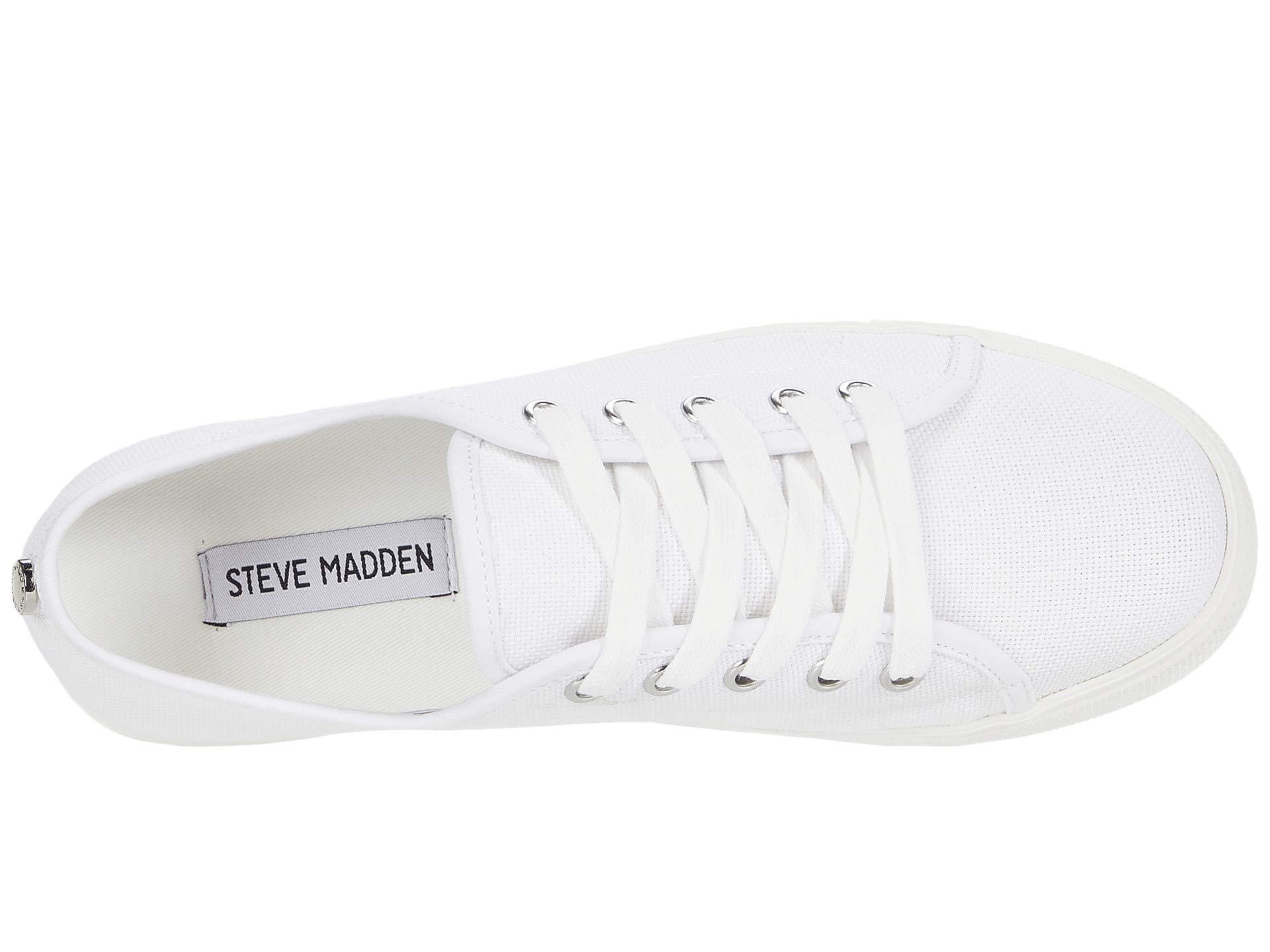 steve madden elore
