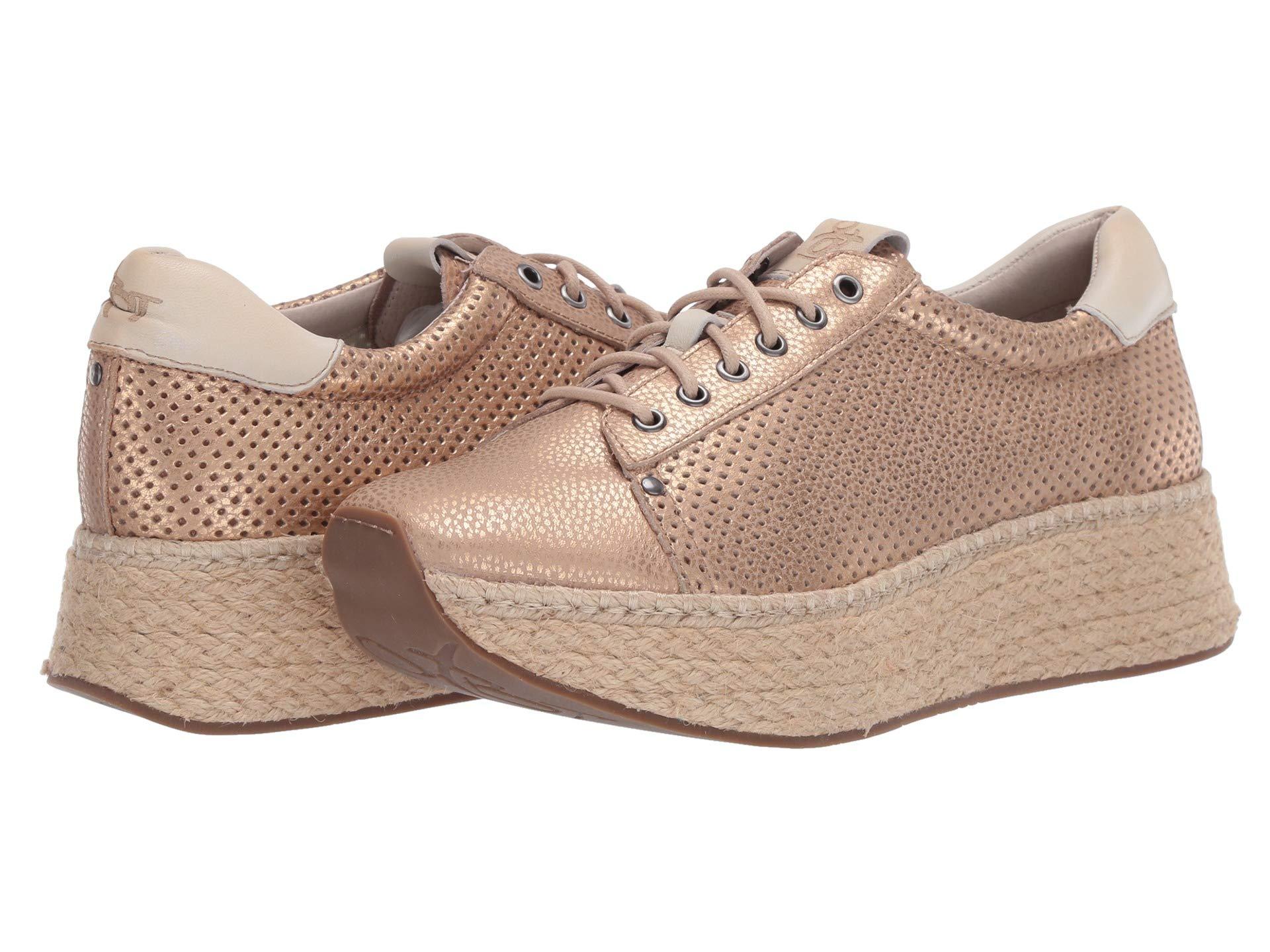 otbt clearance