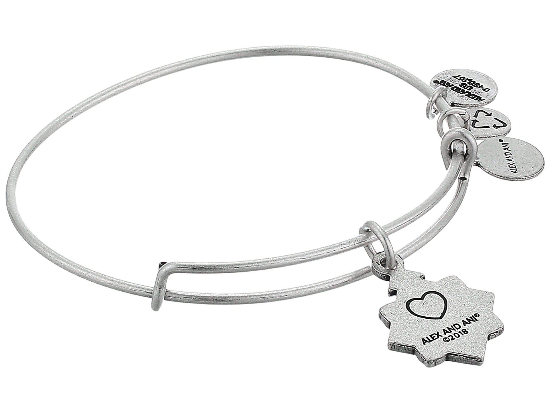 Beads Charms Jewelry Alex And Ani Womens Because I Love You Aunt Iii Bangle Jewelry Beads Charms Taraazi Com