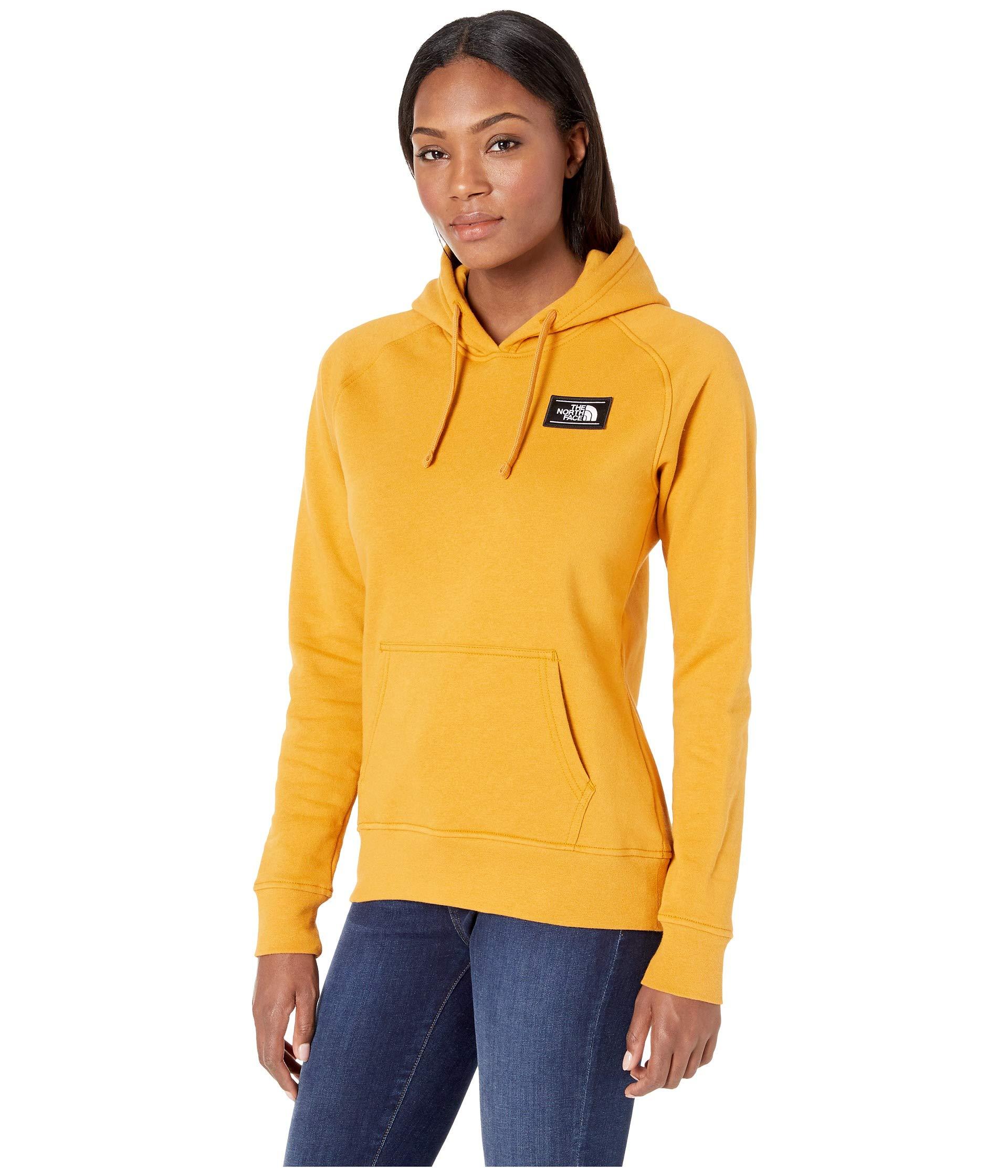 north face bottle source hoodie
