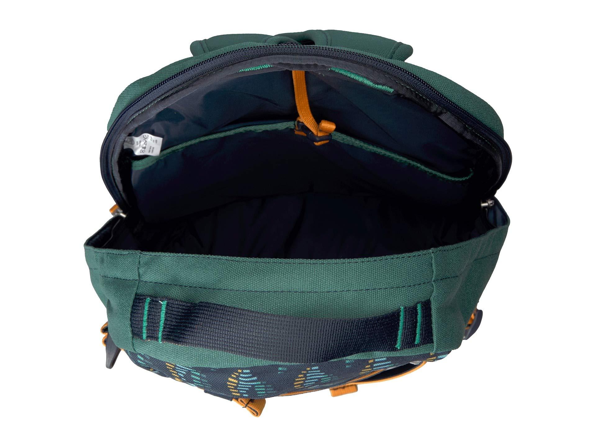 Chaco top day pack