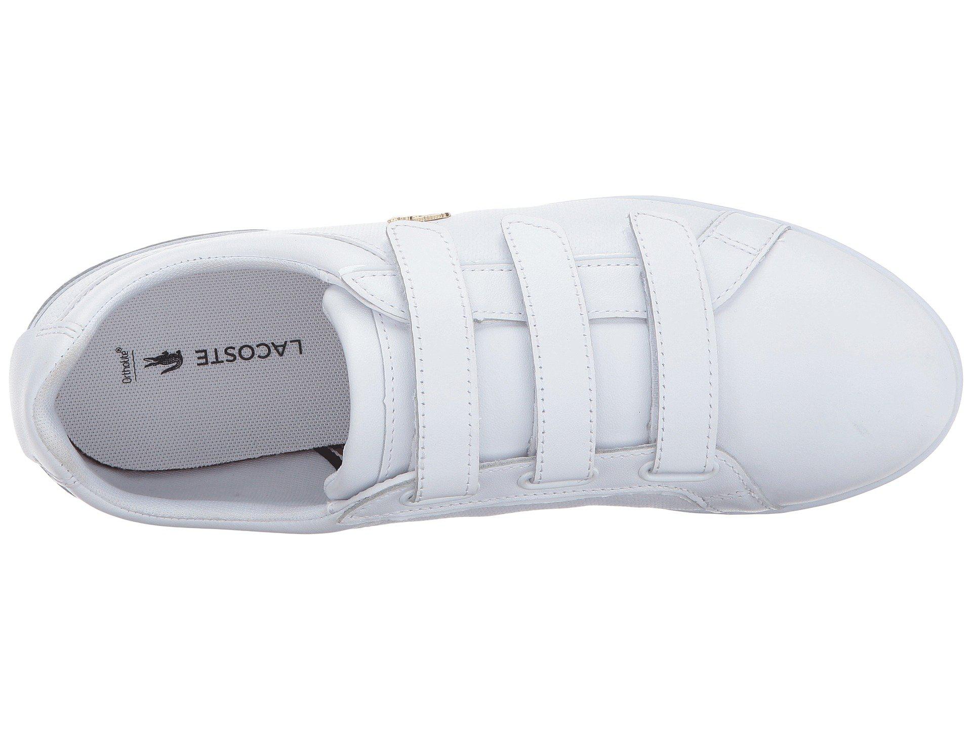lacoste rey strap