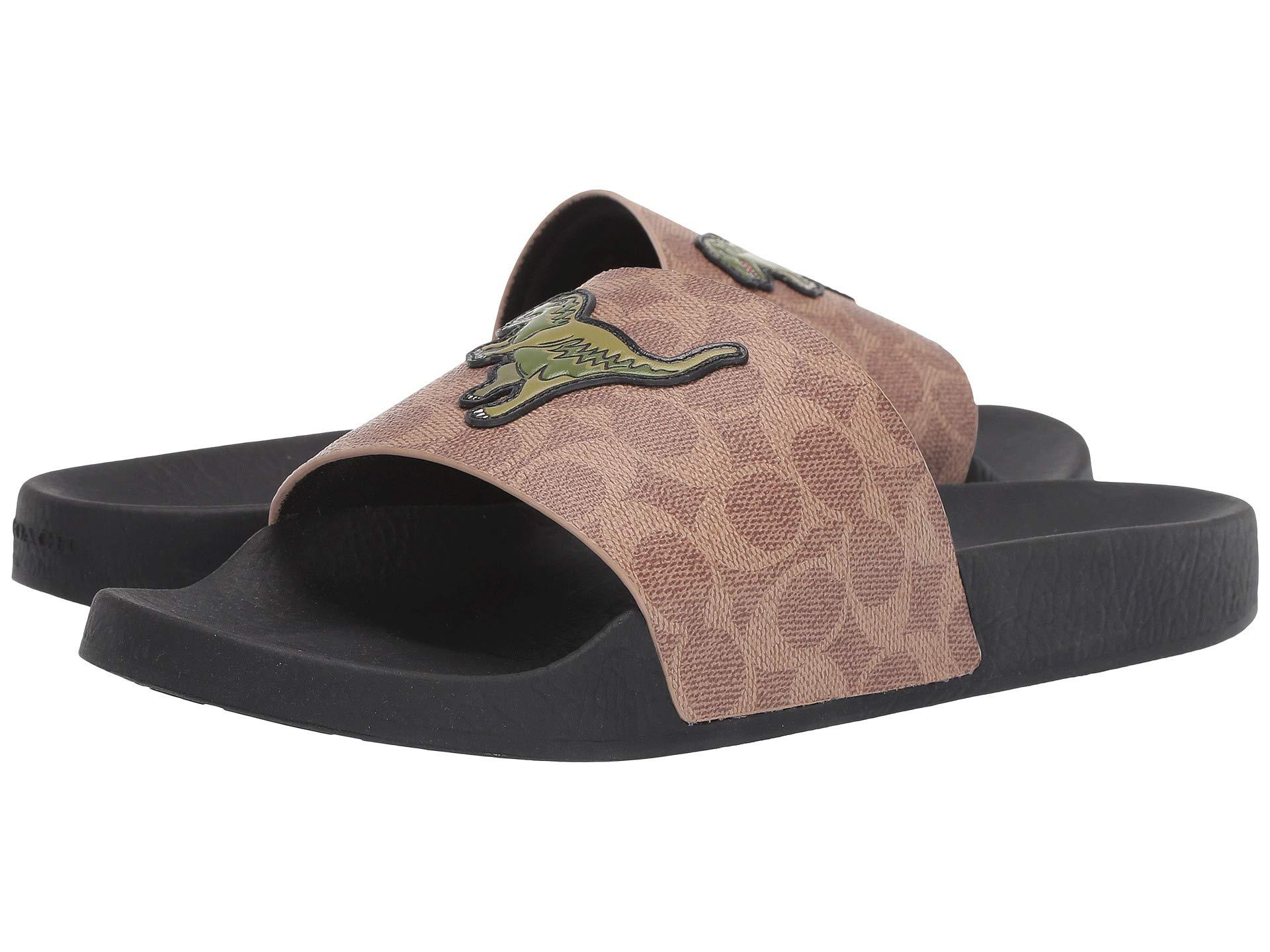 coach men's signature slides