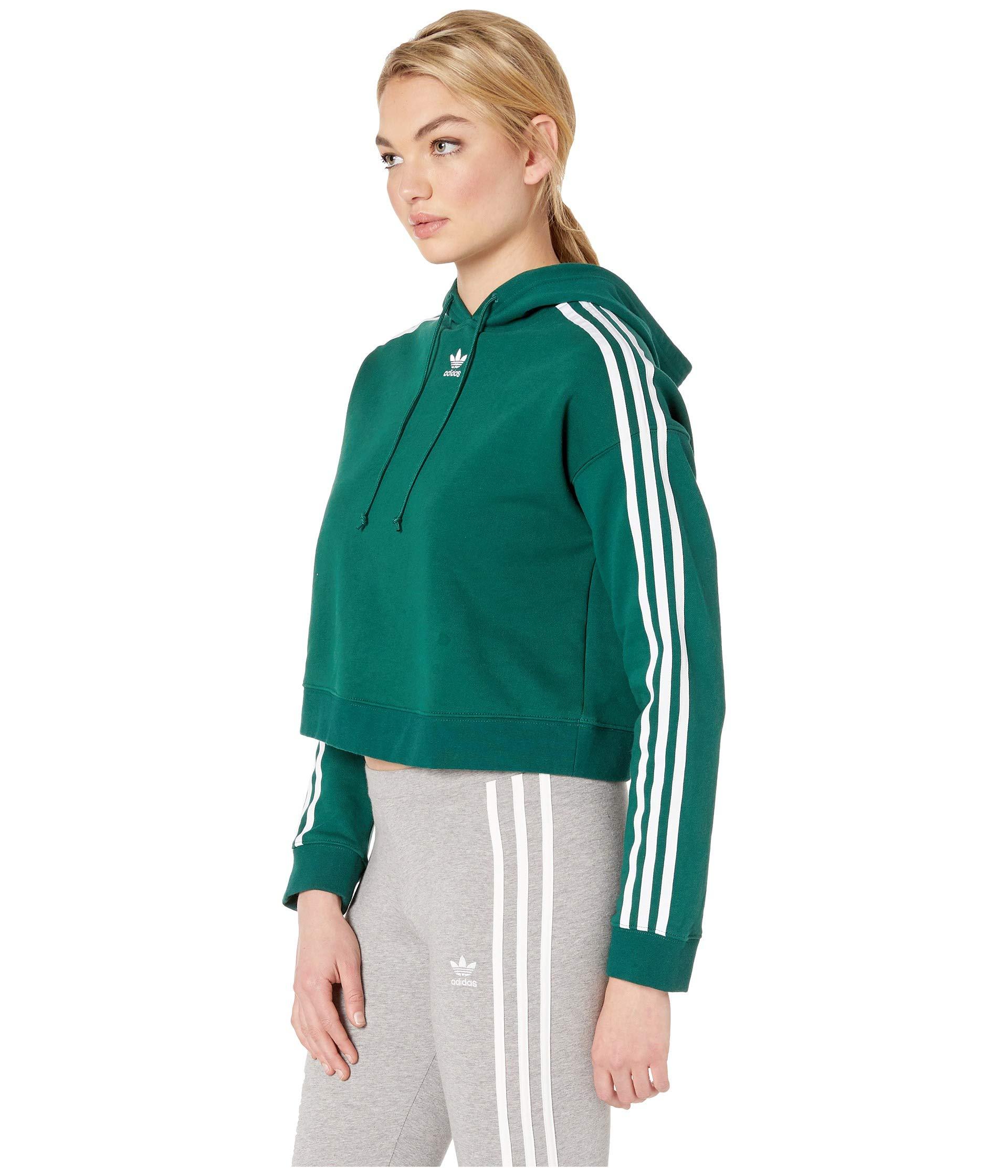 adidas Originals Cotton Cropped Hoodie (collegiate Green) Women's Sweatshirt  - Lyst