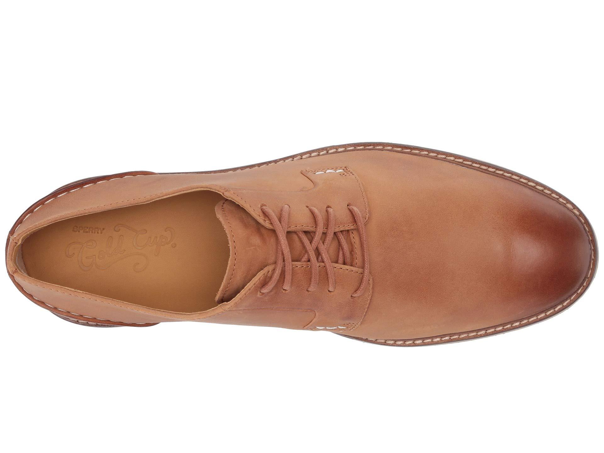 Sperry Top-Sider Gold Cup Cheshire Oxford Leather in Brown for Men | Lyst