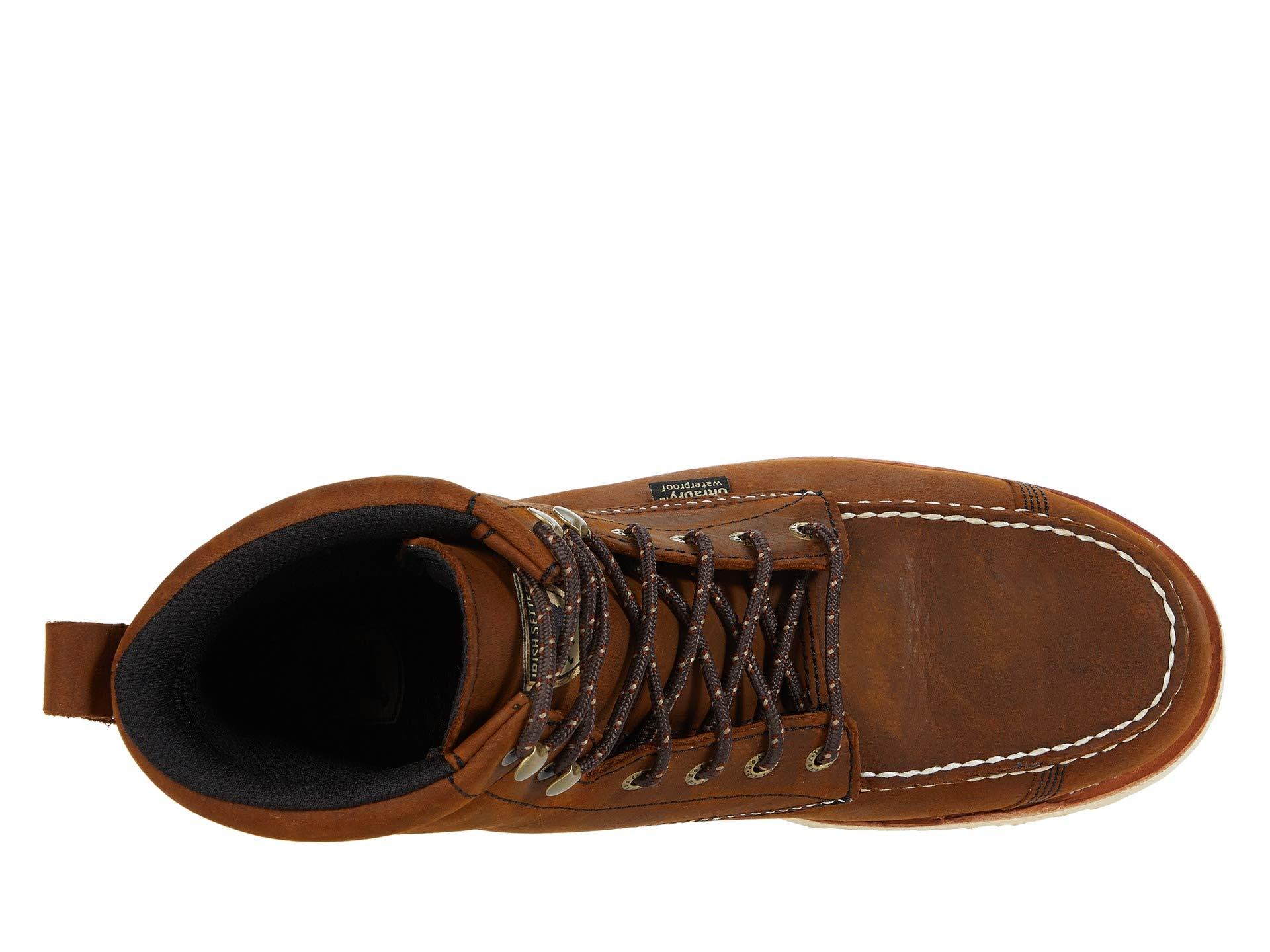 irish setter wingshooter st 6