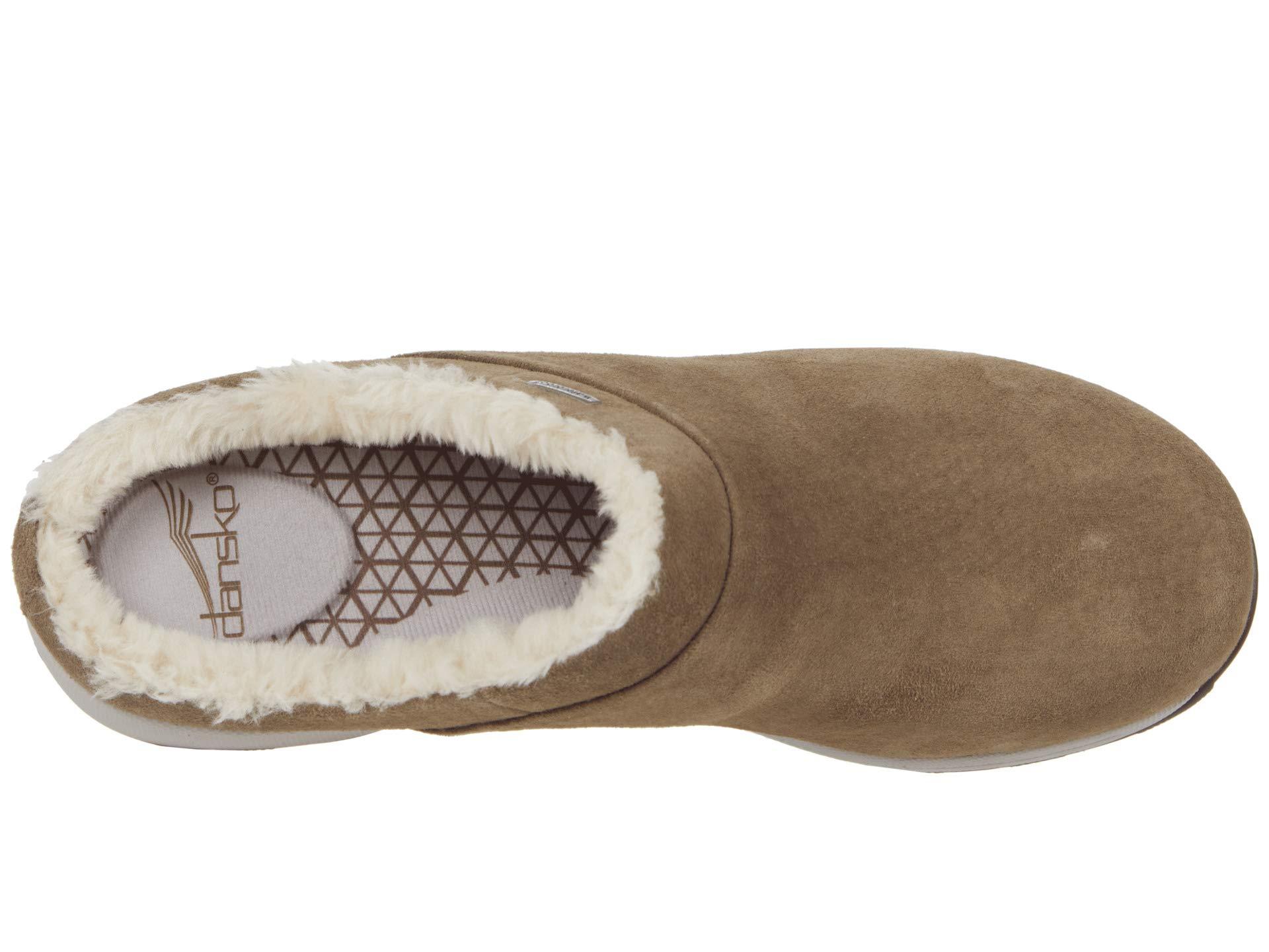 chuck taylors shoes