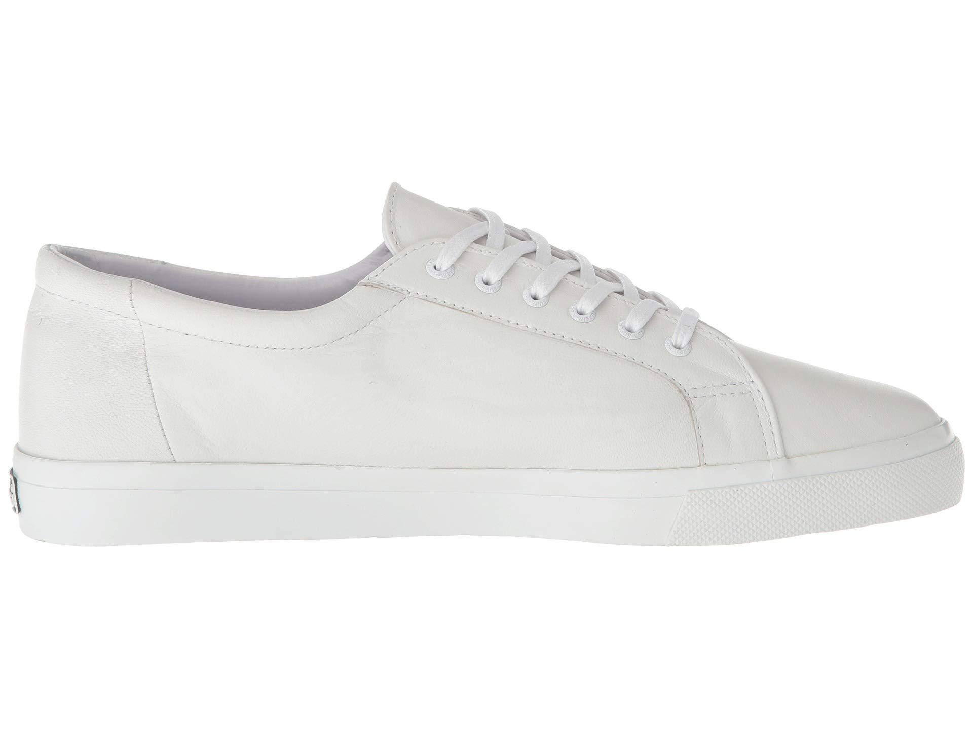 superga nappau