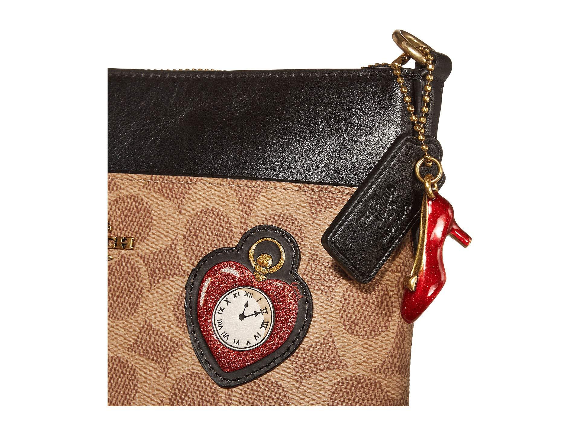 Wizard of oz coach top bags