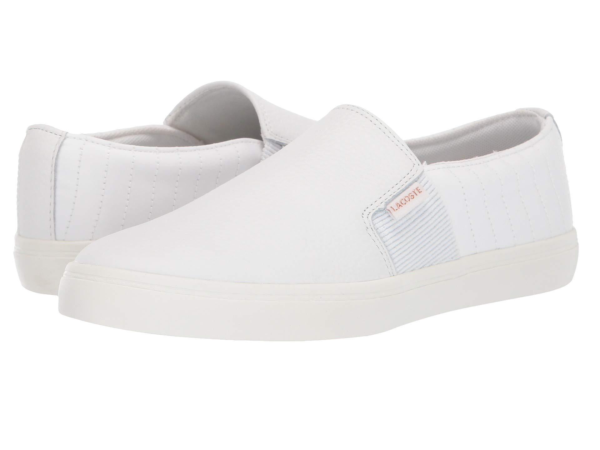 lacoste shangrila