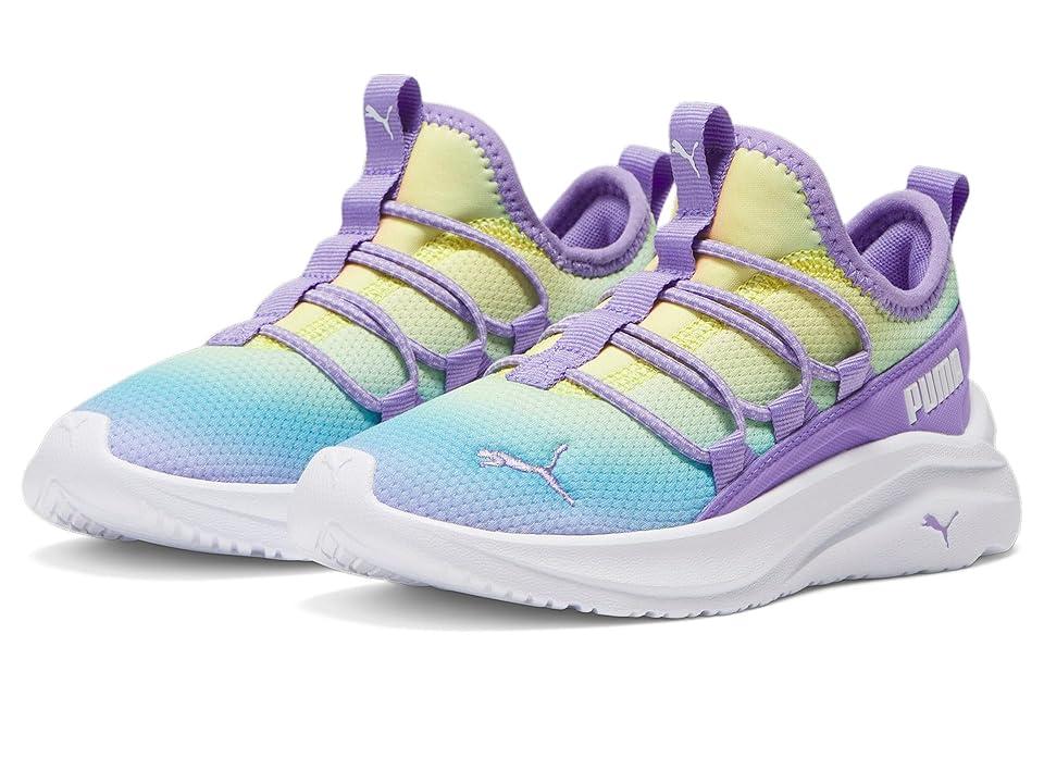 Purple puma shoes zappos hotsell