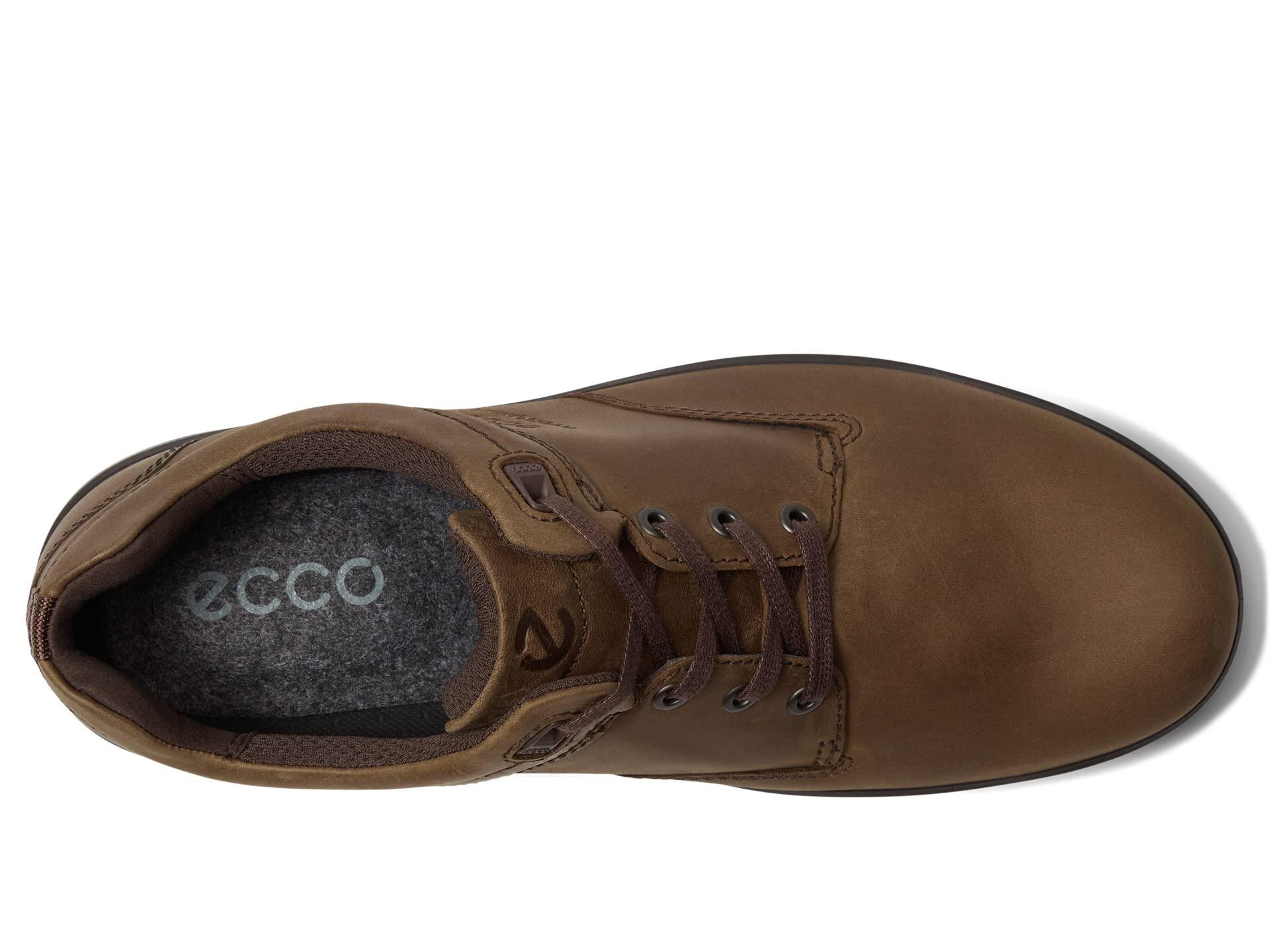 Ecco Rugged Track Hydromax Low in Brown for Men | Lyst