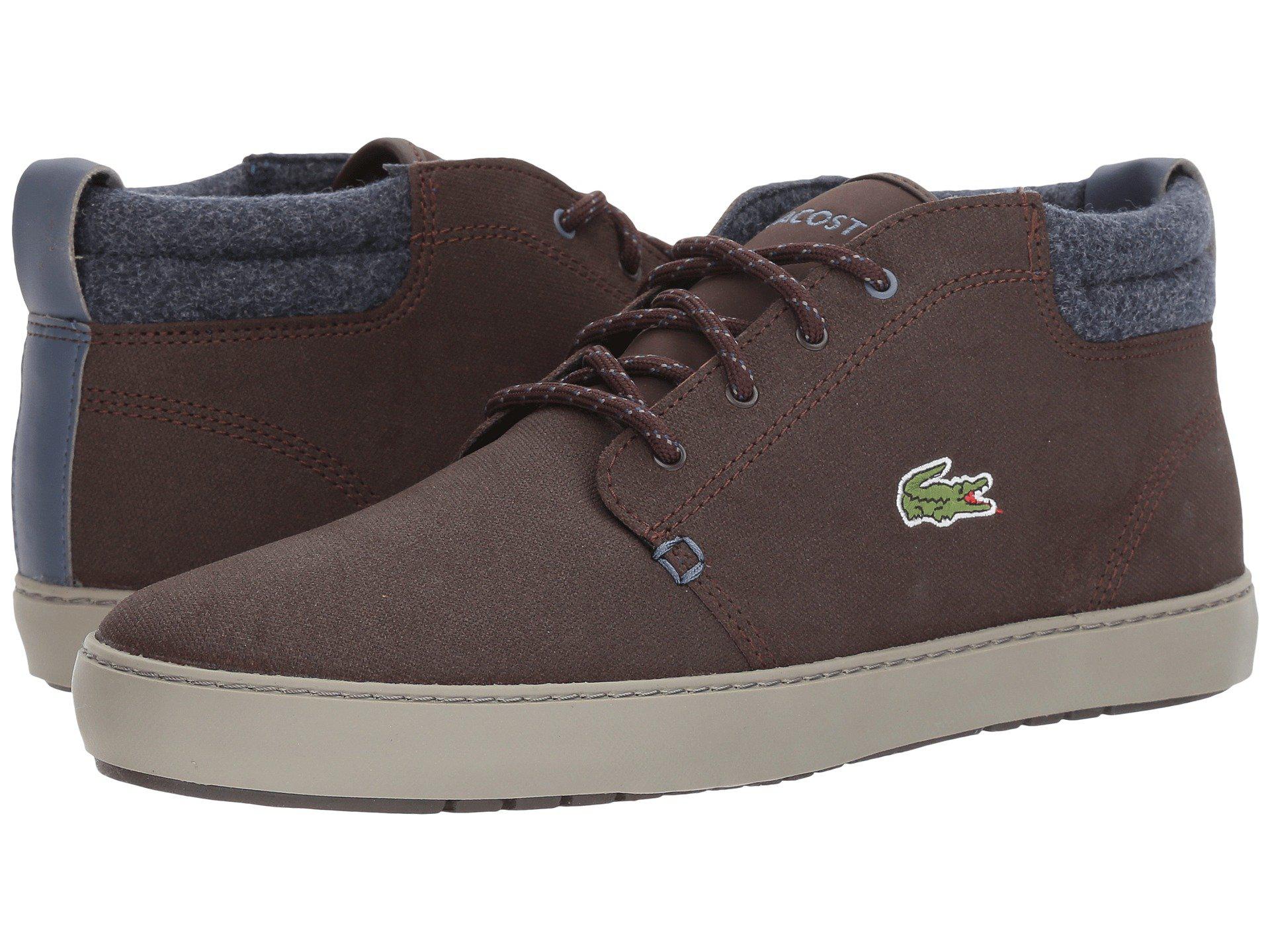 lacoste ampthill