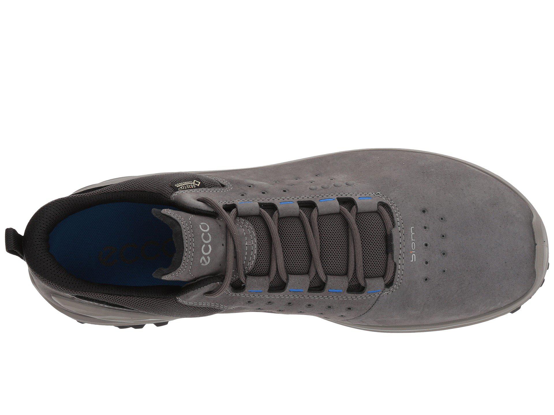 brydning Opera mærkelig Ecco Biom Venture Leather Gore-tex Tie Hiking Shoe for Men | Lyst