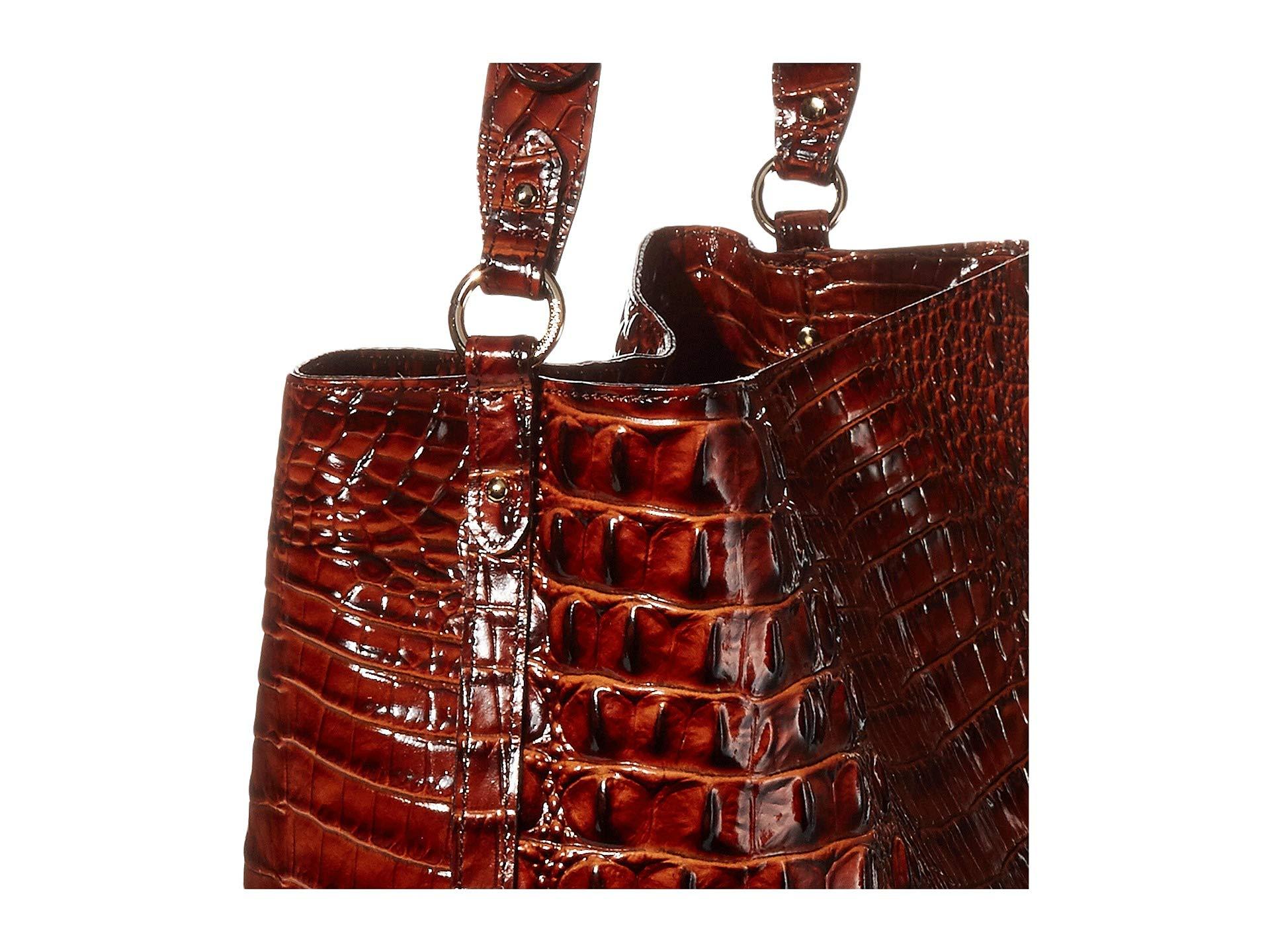 large amelia brahmin