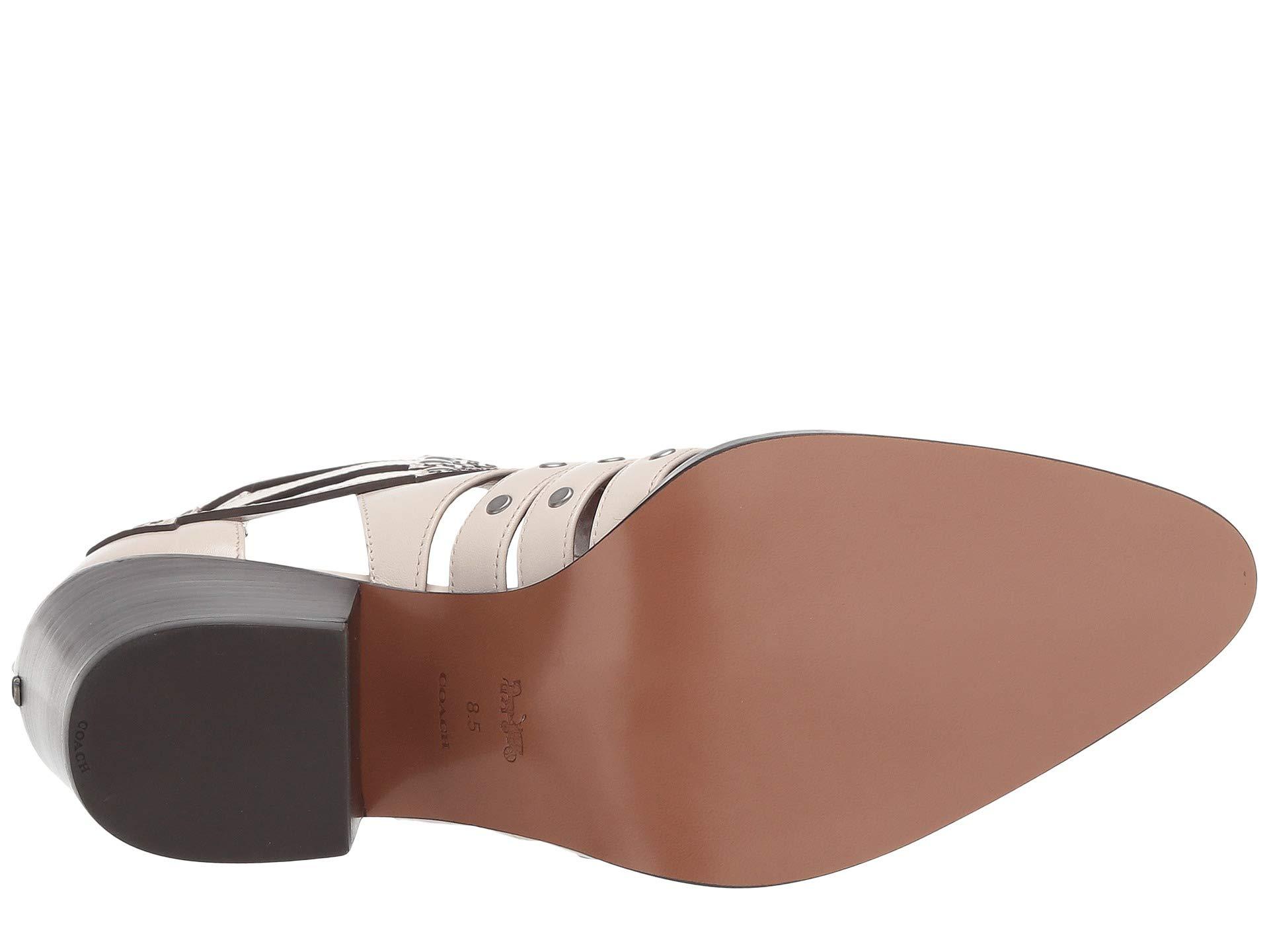 coach phoebe booties