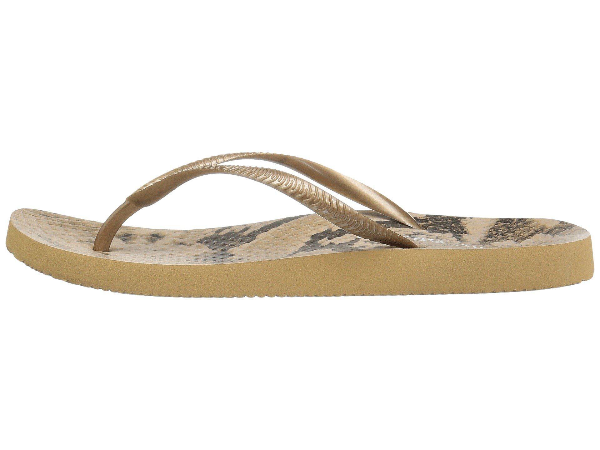 vionic beach collection