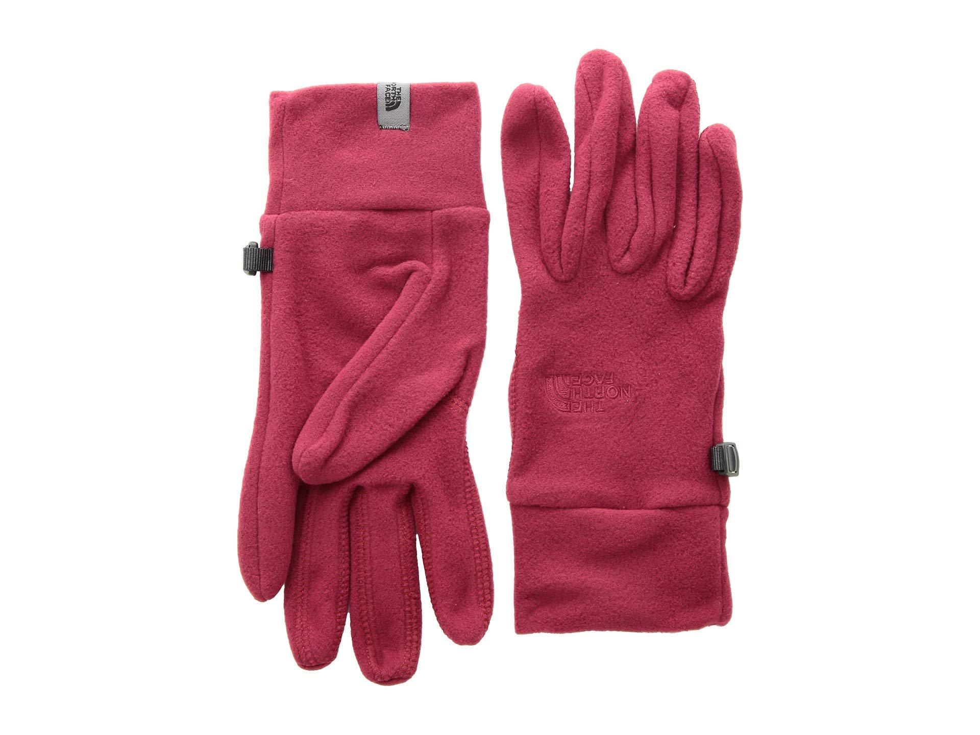 the north face tka 100 microfleece gloves