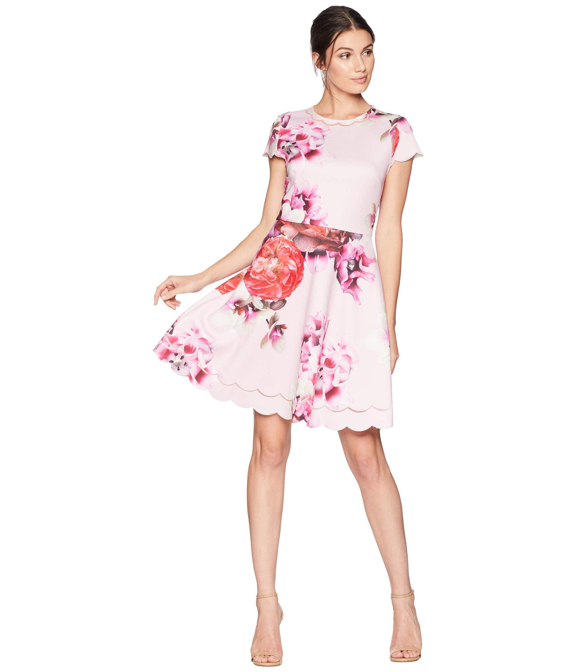 seeana splendour skater dress
