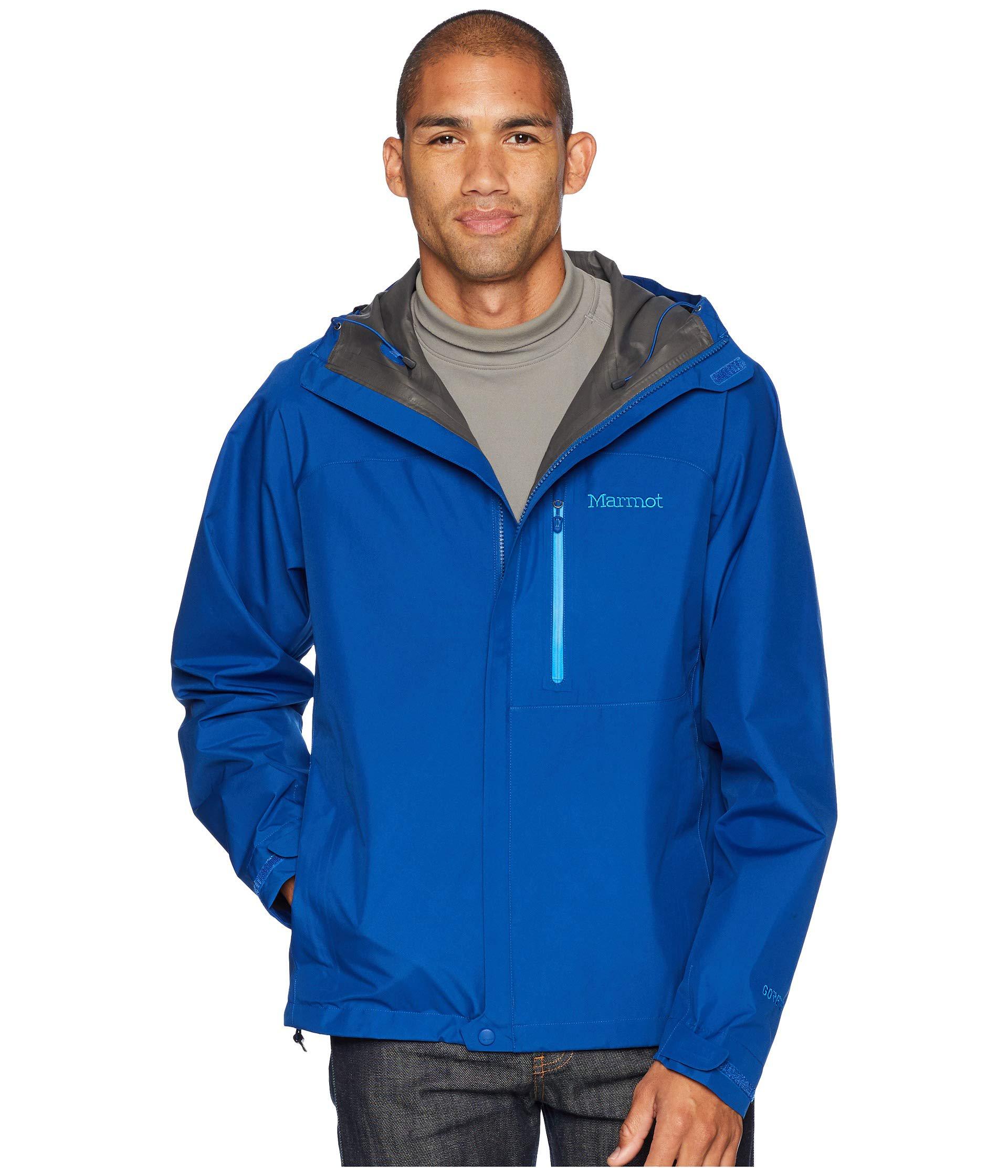 dark cerulean marmot