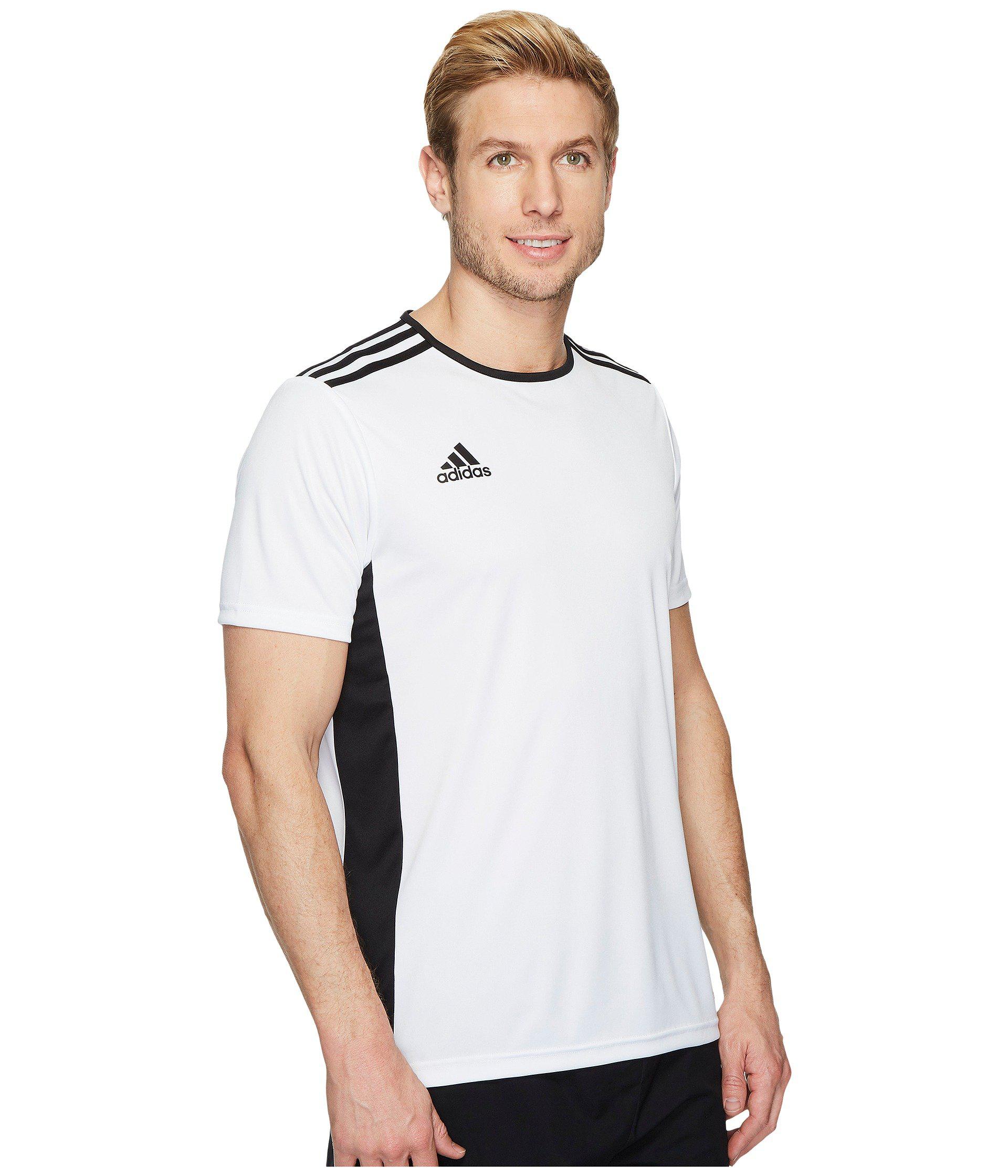 adidas entrada 18 ss jersey