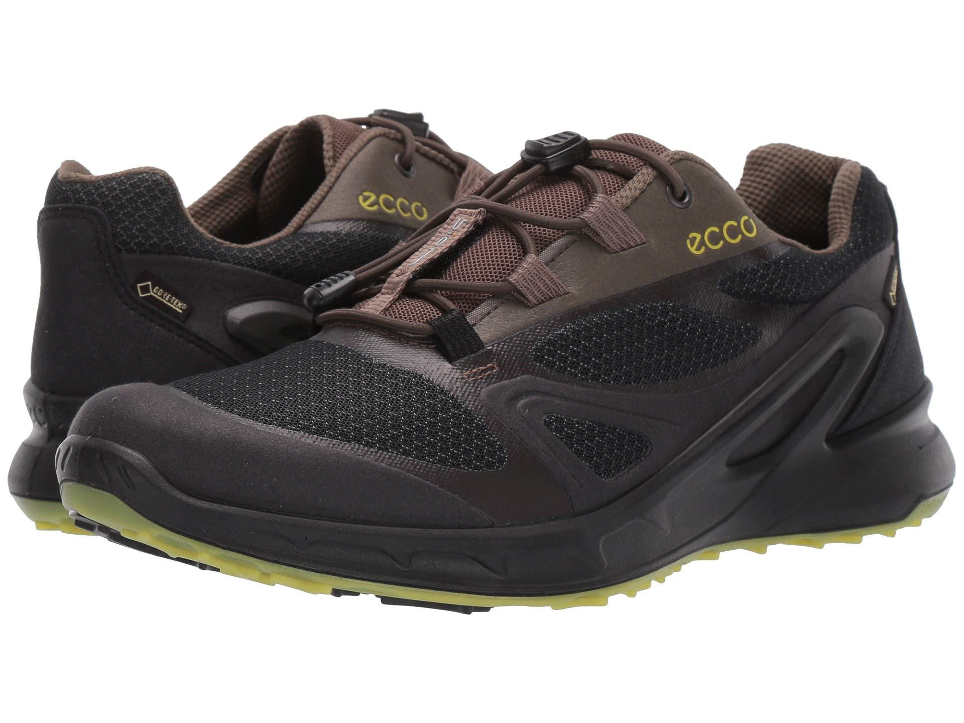 ecco mens biom omniquest gtx