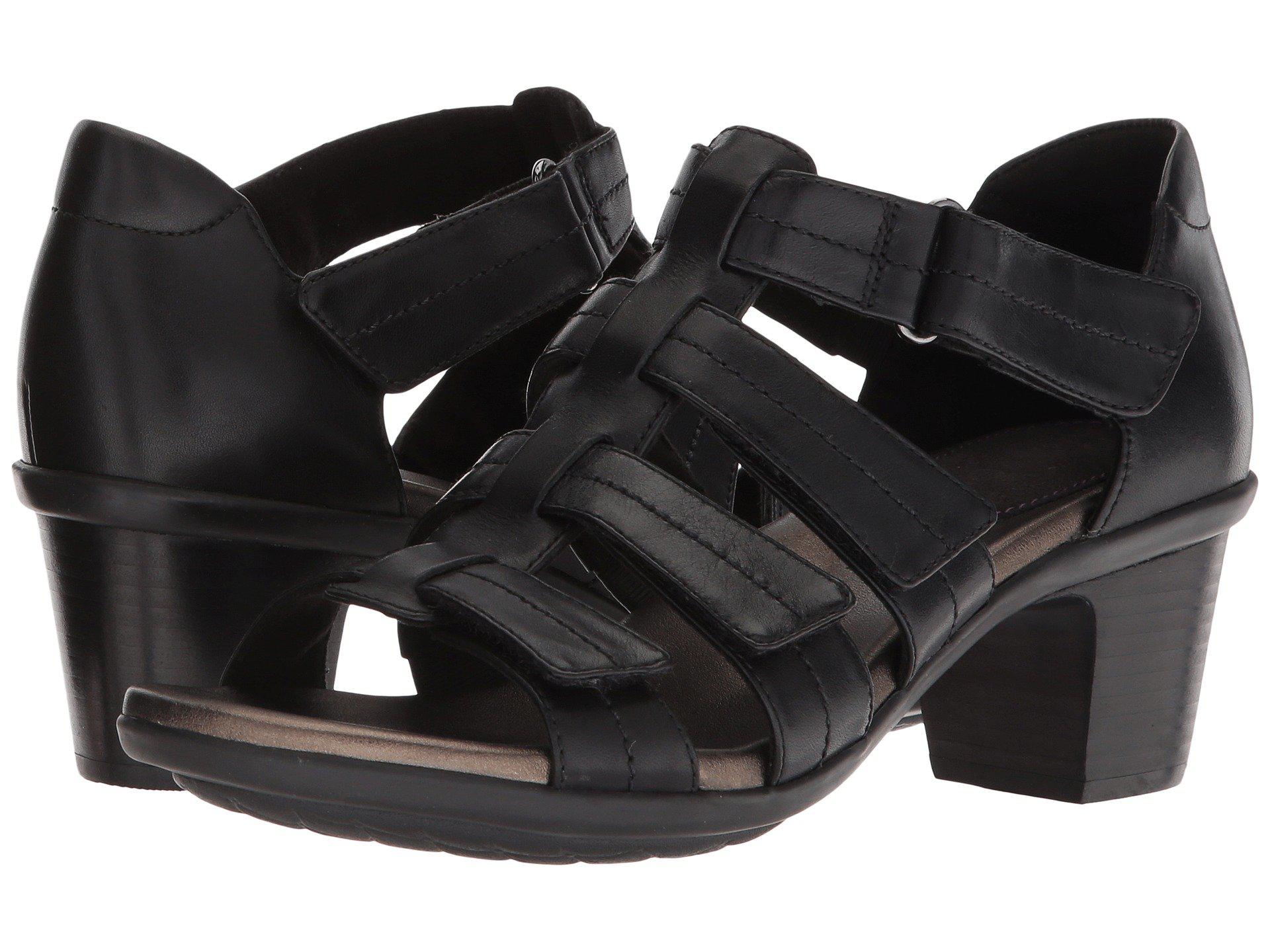 aravon bromly gladiator
