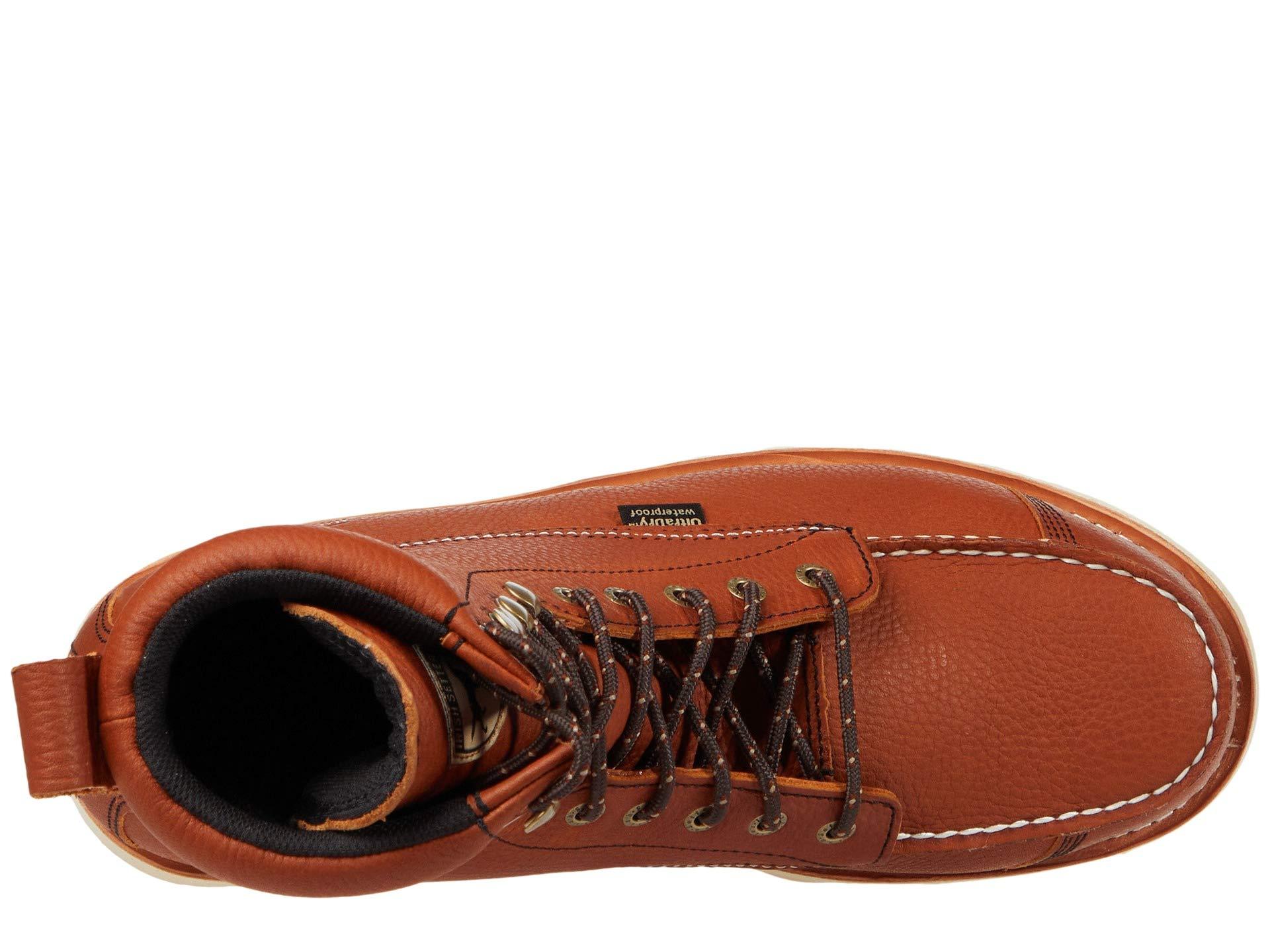 irish setter 83856