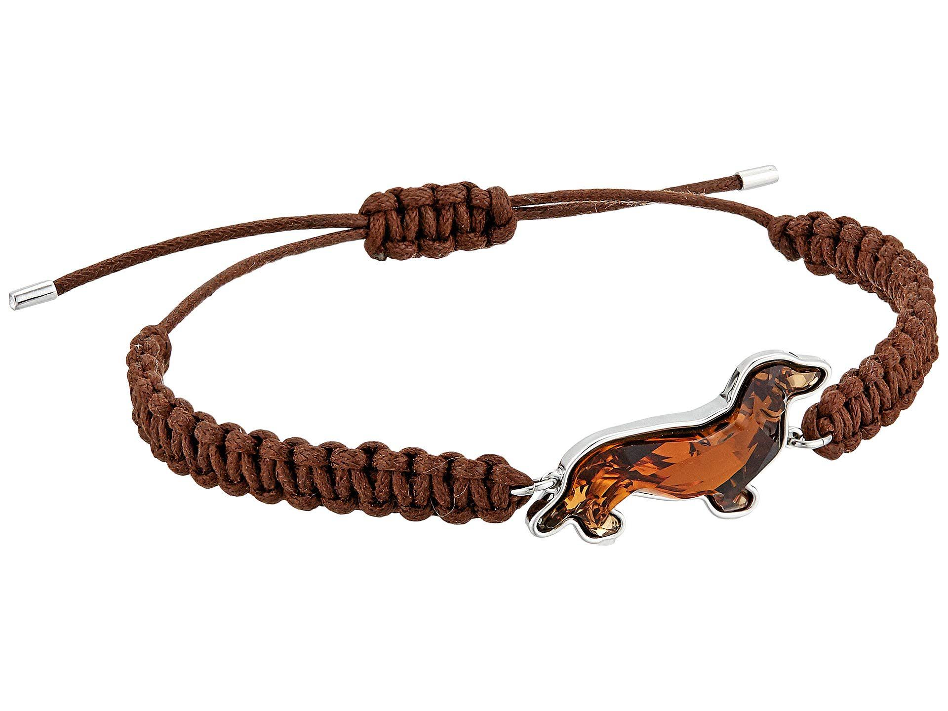 Swarovski Pets Dackel Bracelet (brown) Bracelet | Lyst