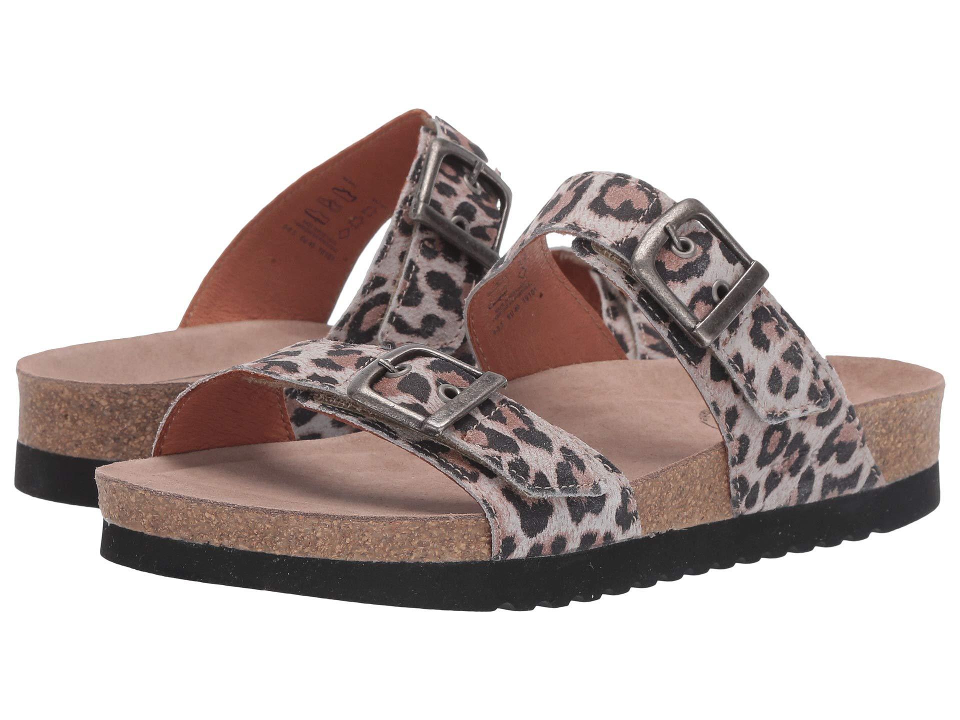 Women's Taos, Maximo Sandals | Peltz Shoes
