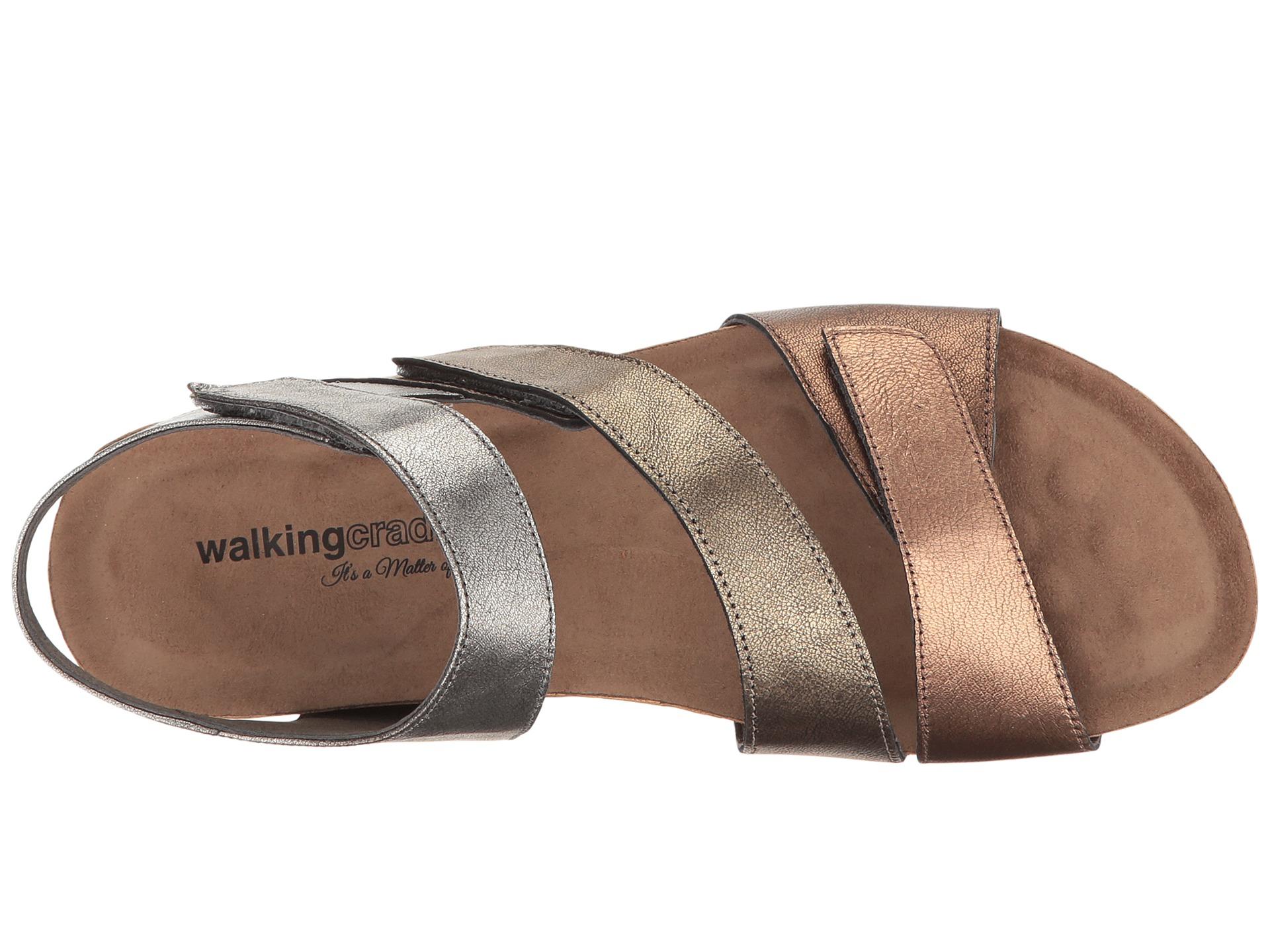 walking cradles pasha