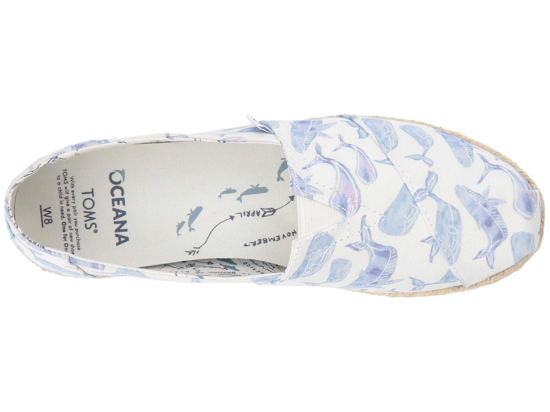 toms oceana watercolor whale women's classics