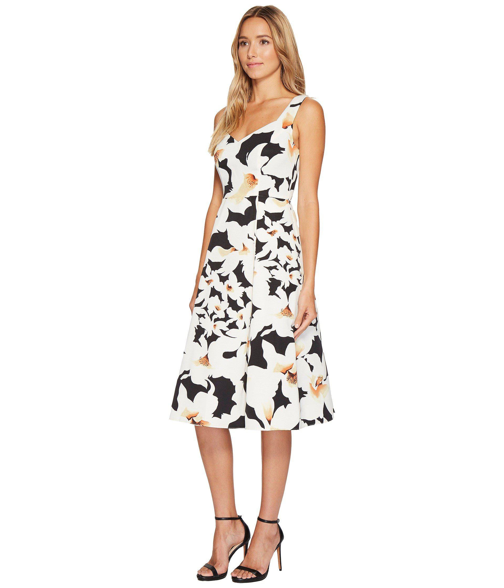 Adrianna Papell Synthetic Lily Floral Fit And Flare Dress ...