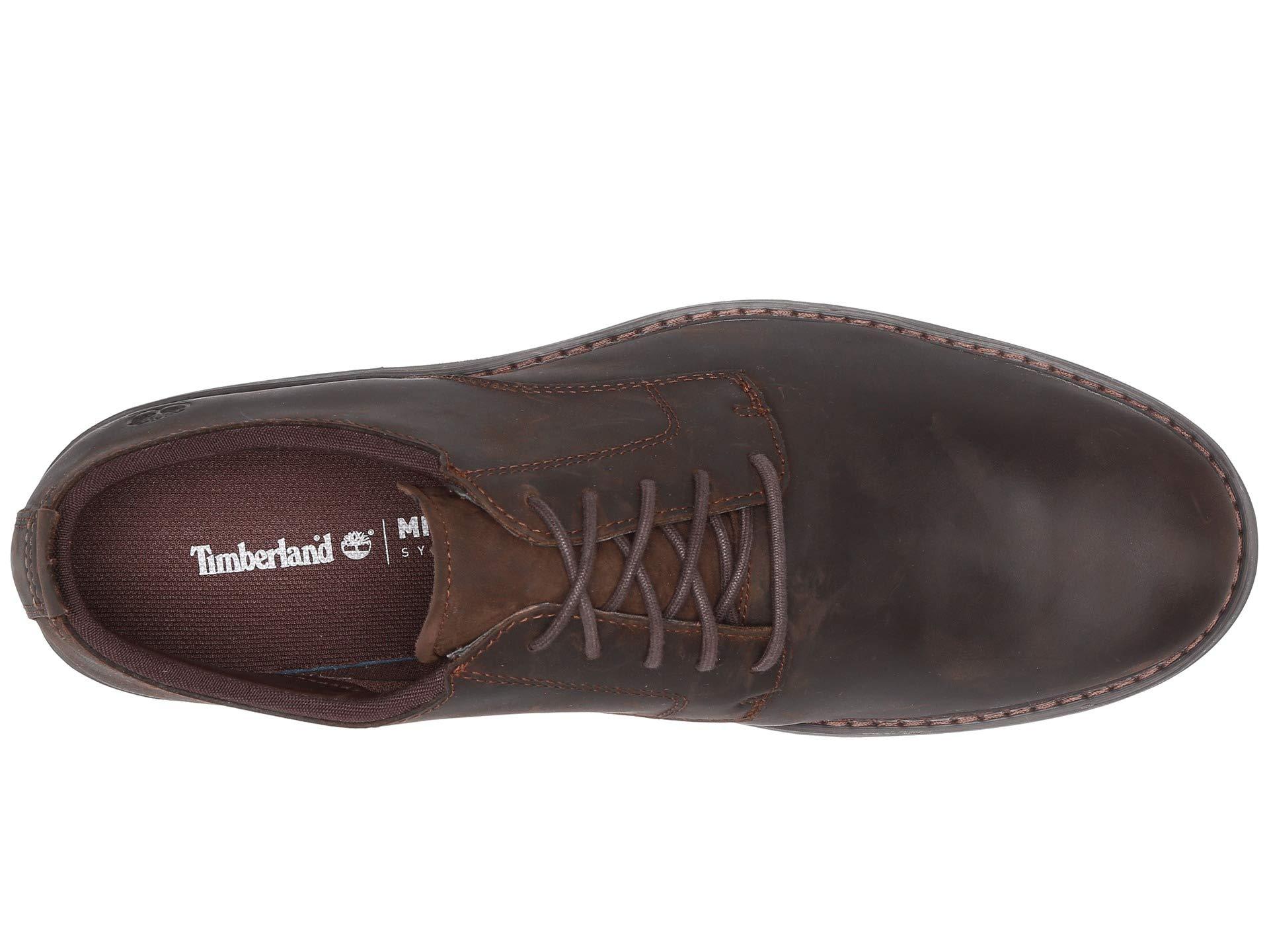 timberland squall canyon plain toe oxford