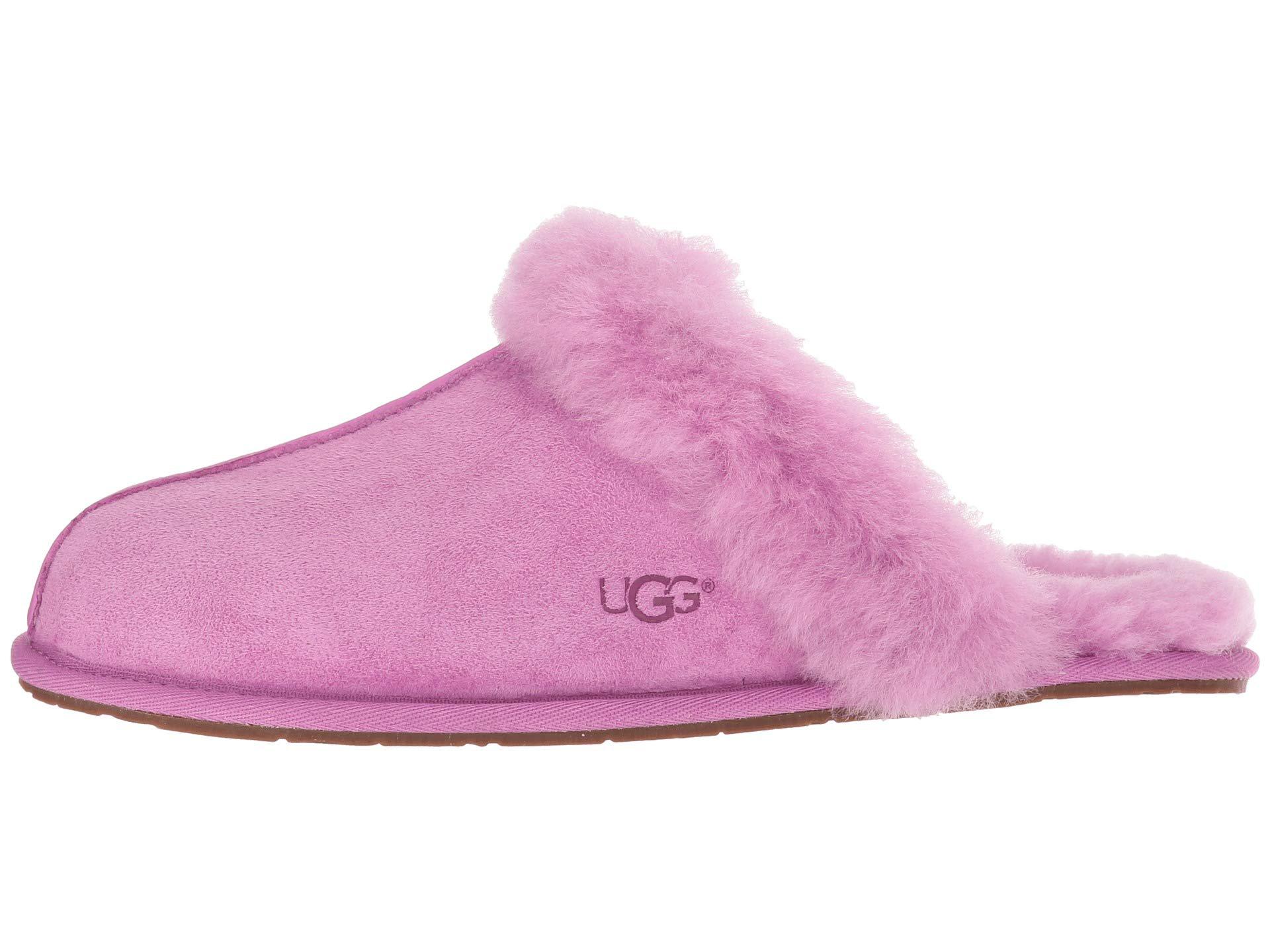 ugg scuffette bodacious