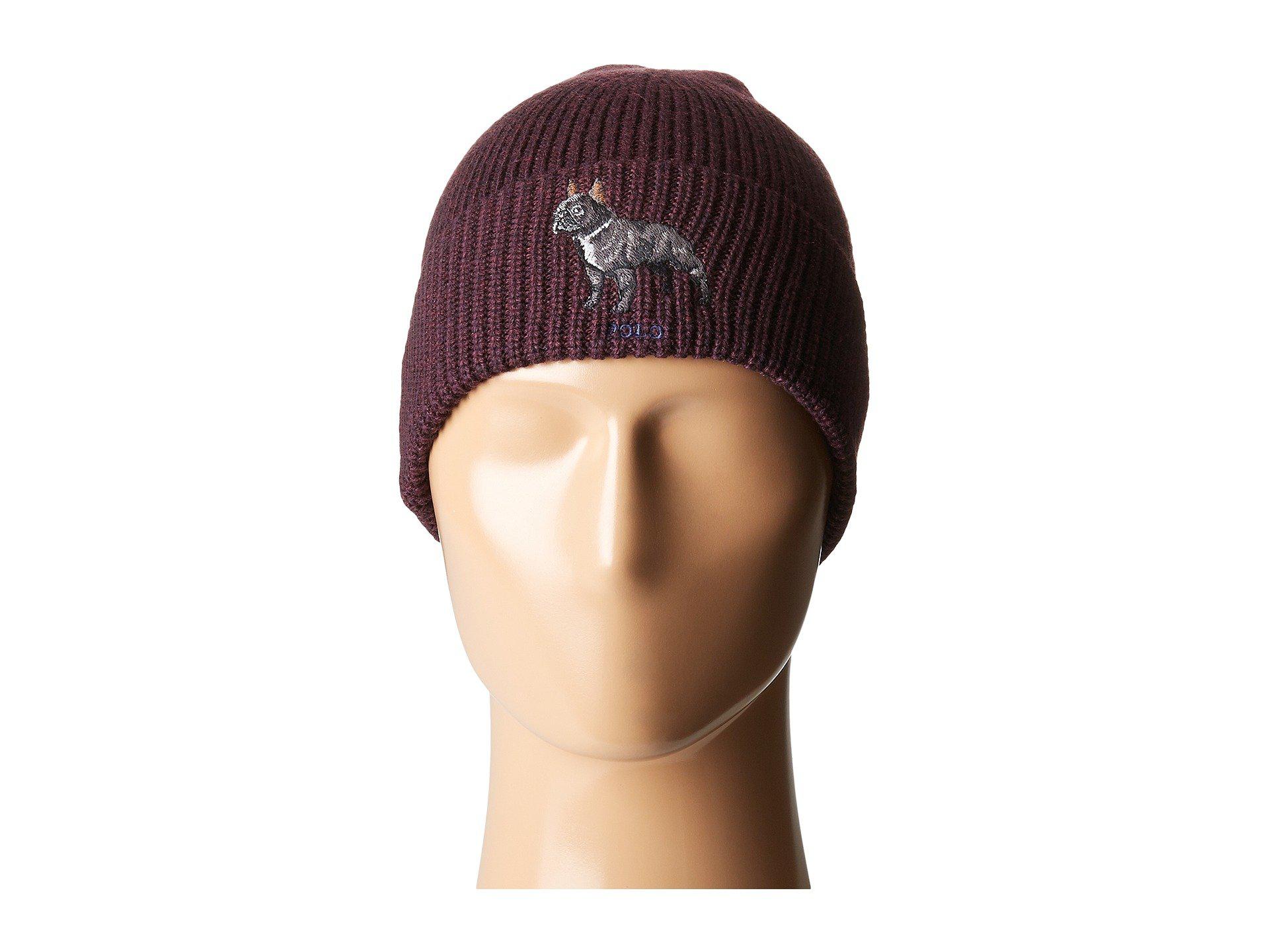 polo french bulldog hat