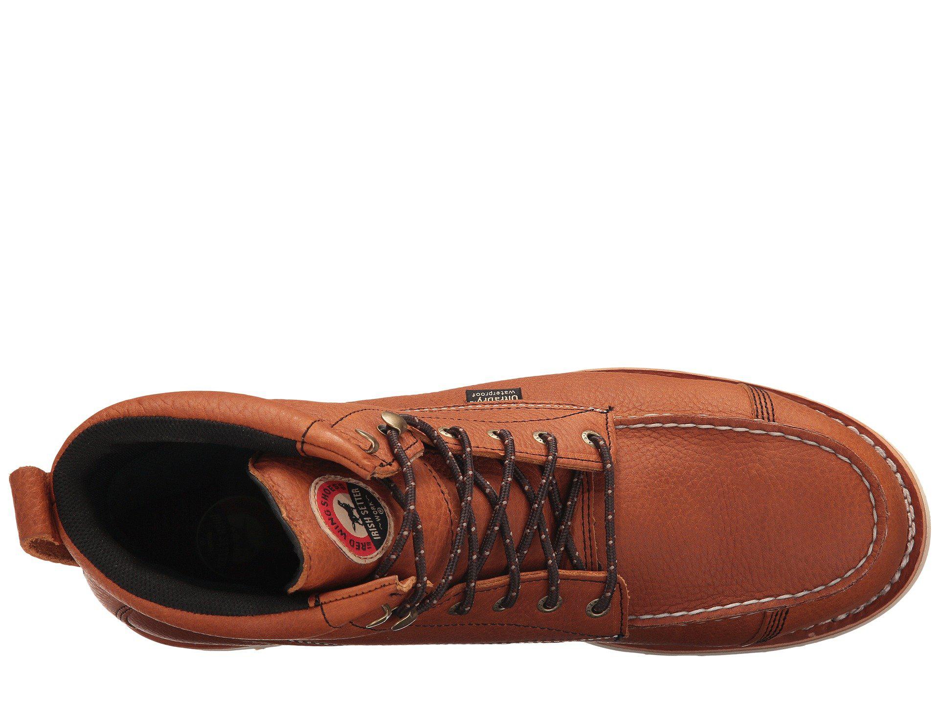 irish setter 83632