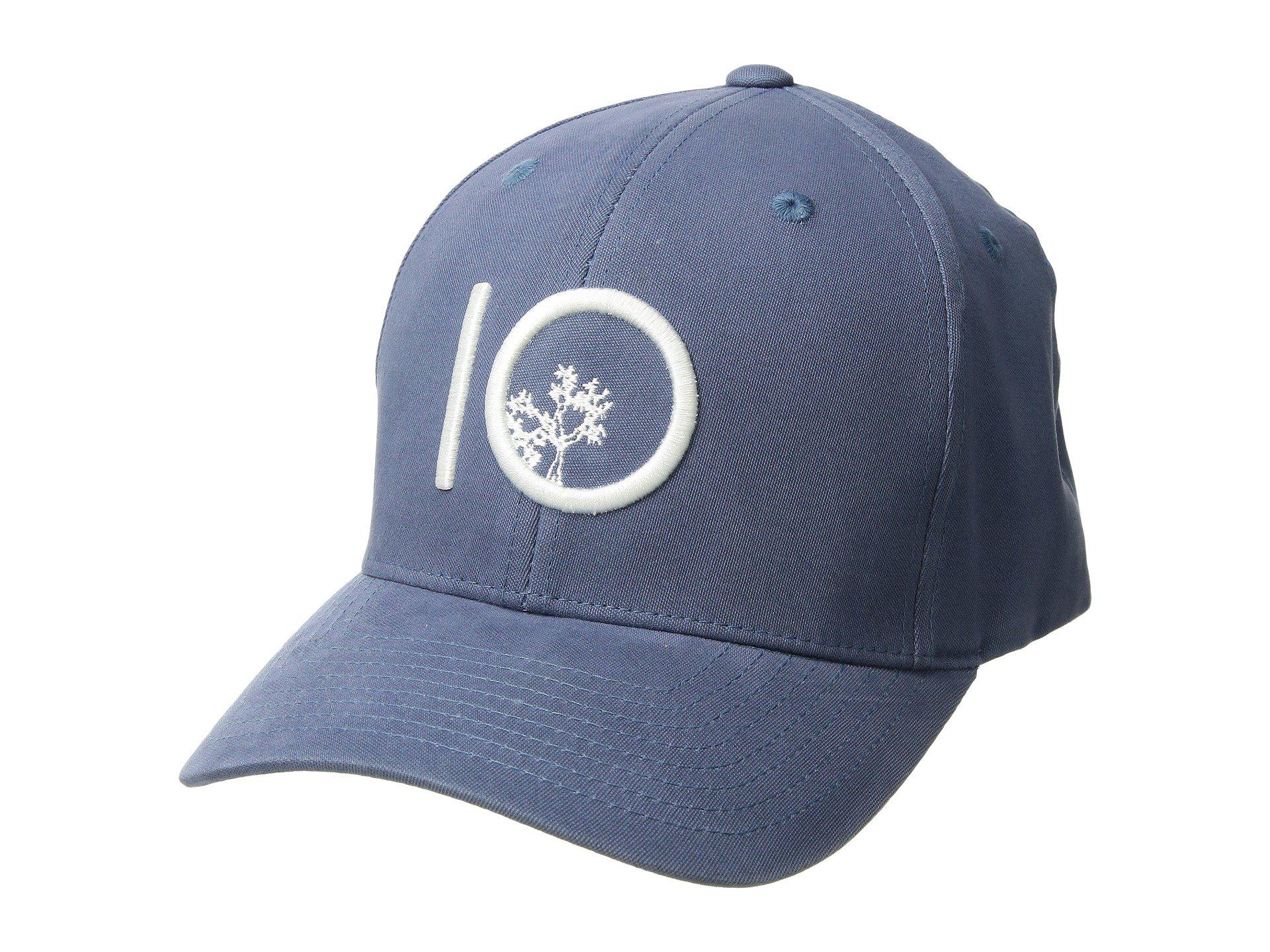 tentree dad hat