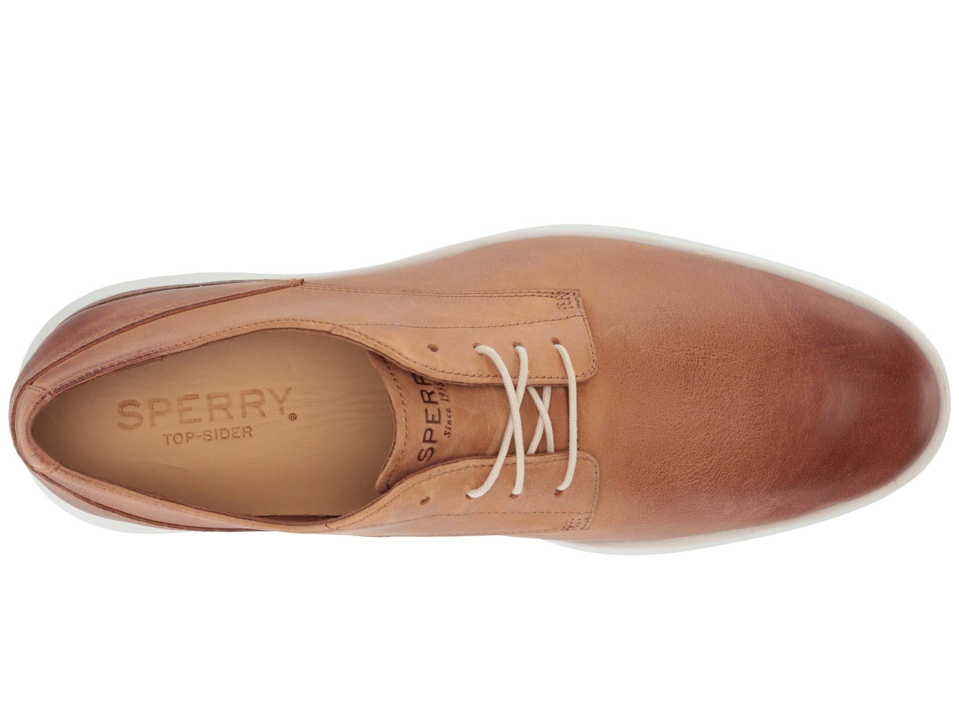 sperry regatta oxford