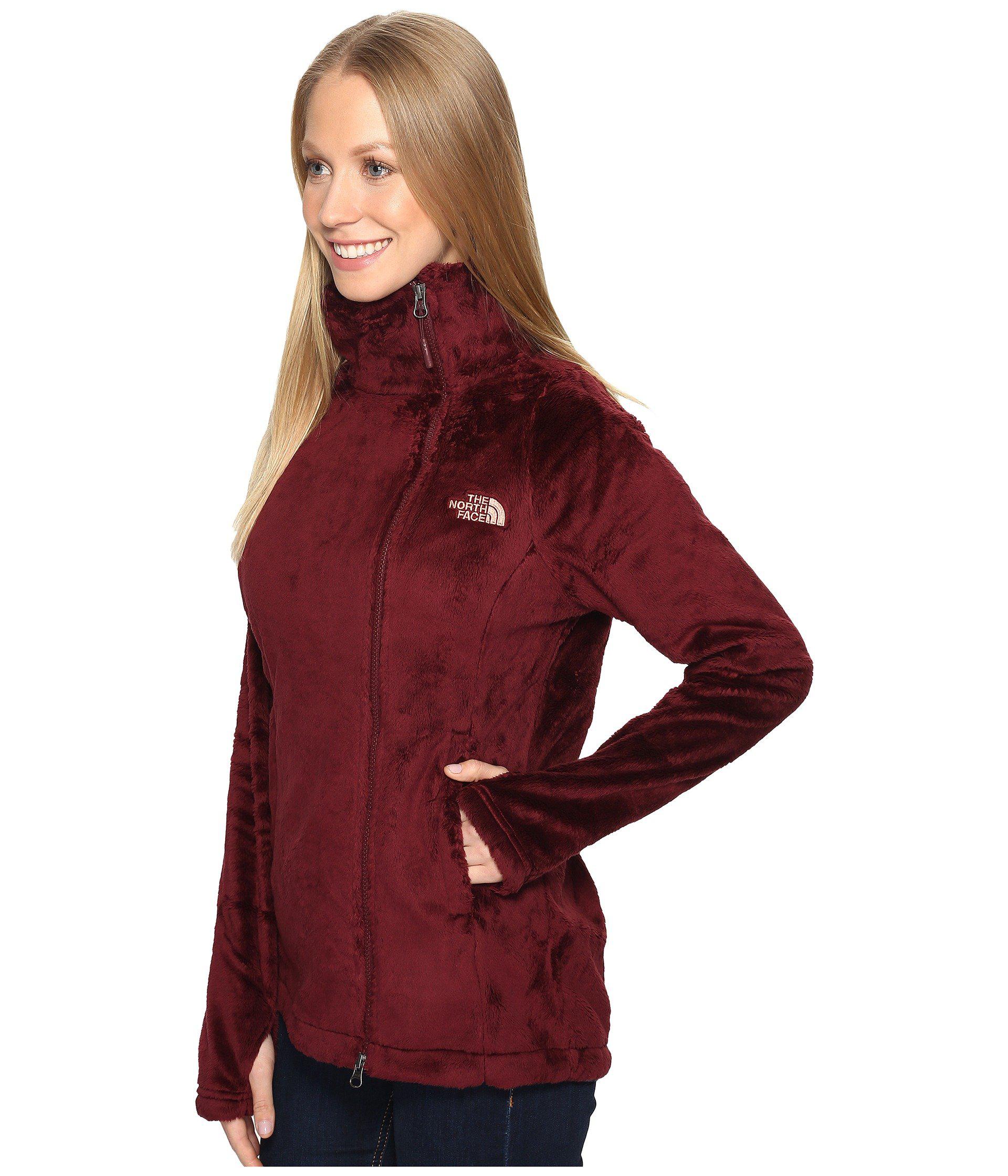 aconcagua down vest
